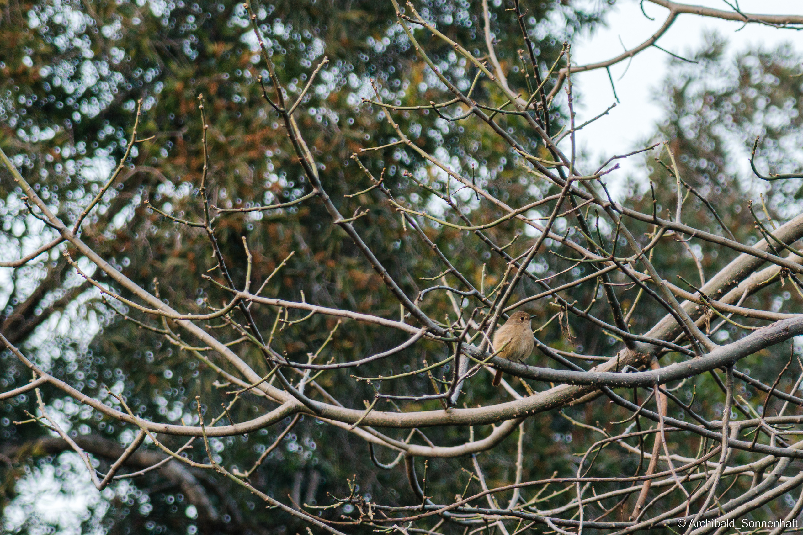 Guangzhou 18. Photographer in Guangzhou, China. Archibald Sonnenhaft