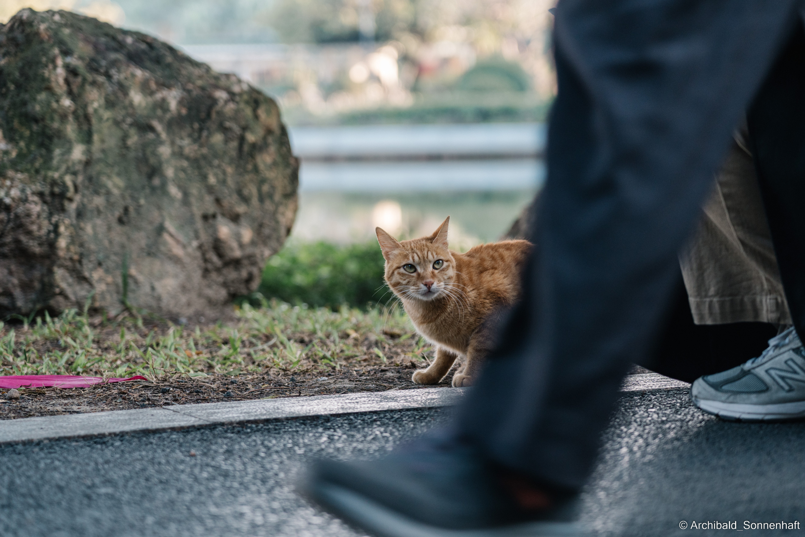 Guangzhou 18. Photographer in Guangzhou, China. Archibald Sonnenhaft