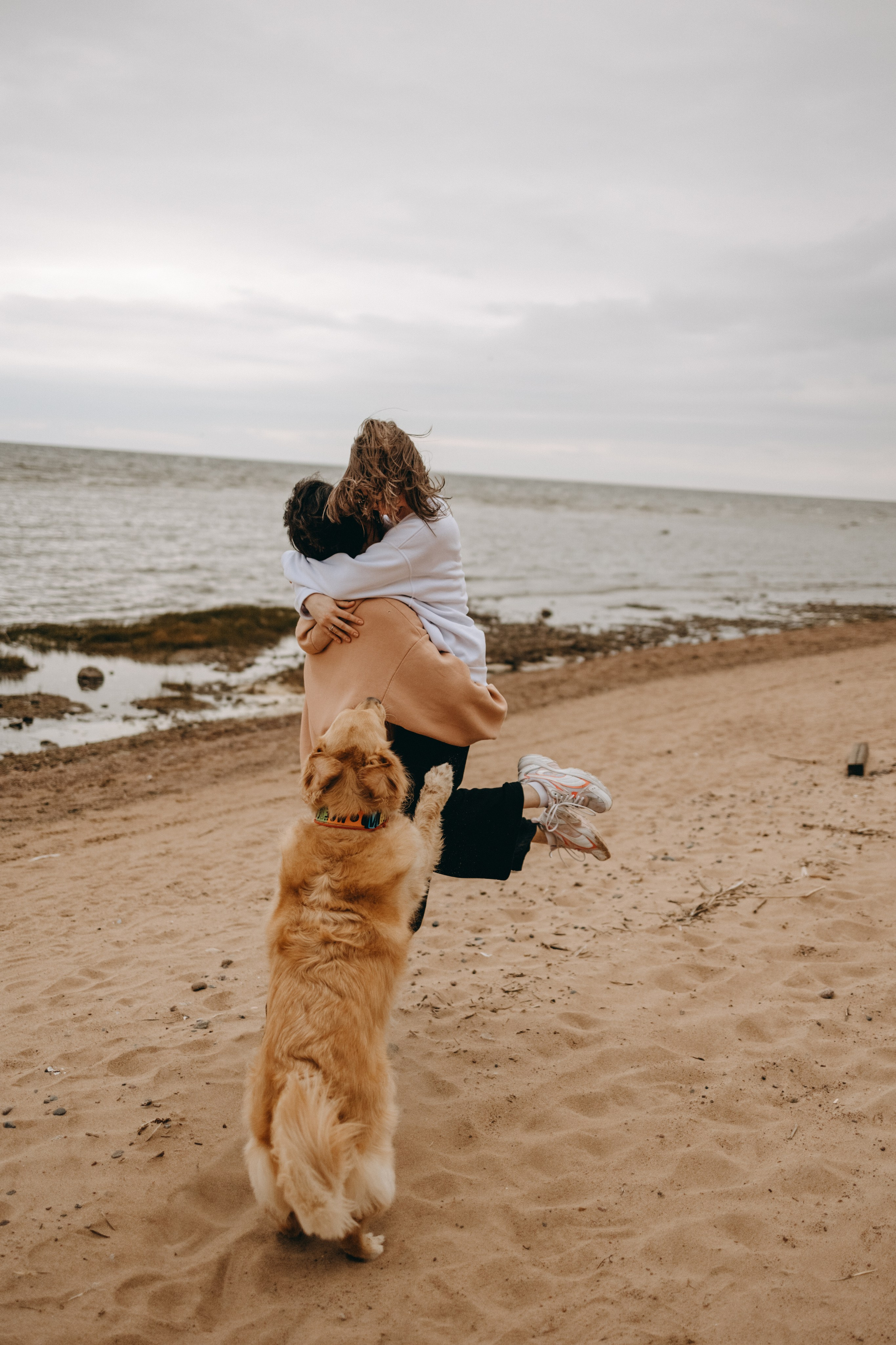 Фоси и его семьи. Фотограф — Анималист | Санкт-Петербург