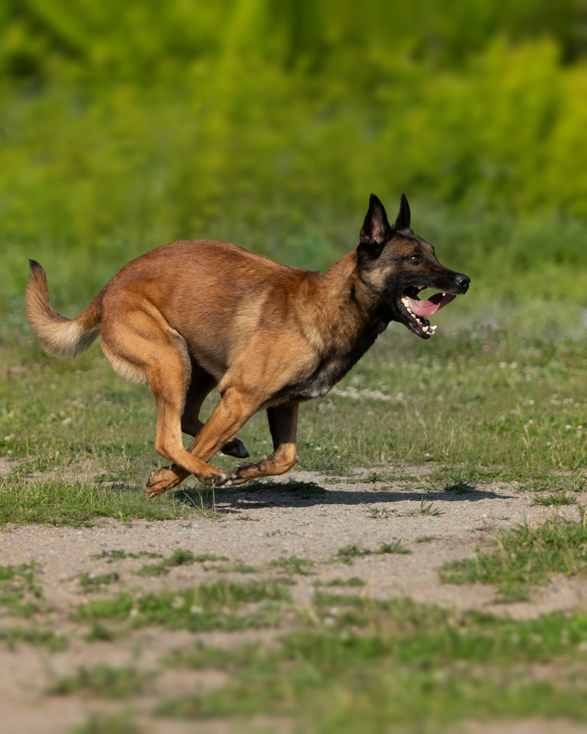 Фотосет для Vyatkins`Urosh. Фотограф в Новосибирске
