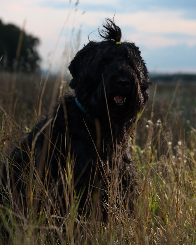 Ретушь. Фотограф в Новосибирске