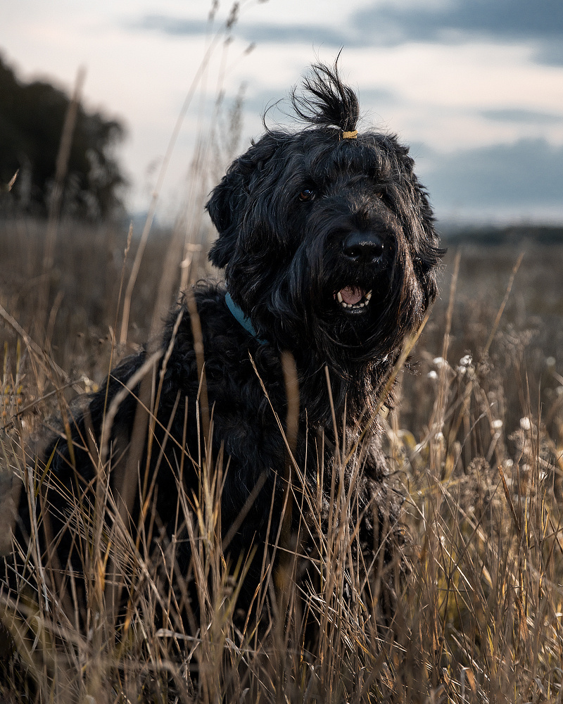 Ретушь. Фотограф в Новосибирске