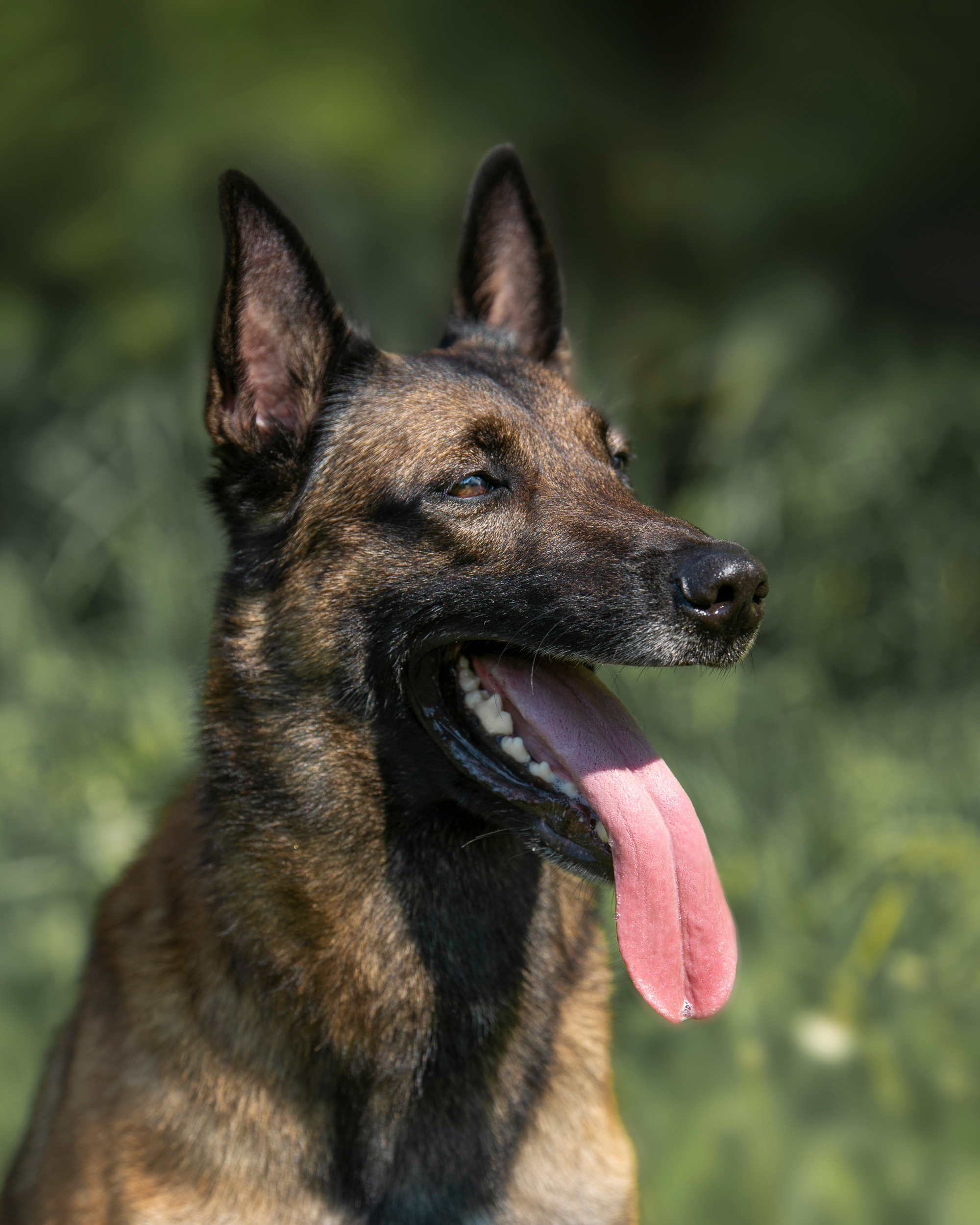 Фотосет для Vyatkins`Urosh. Фотограф в Новосибирске