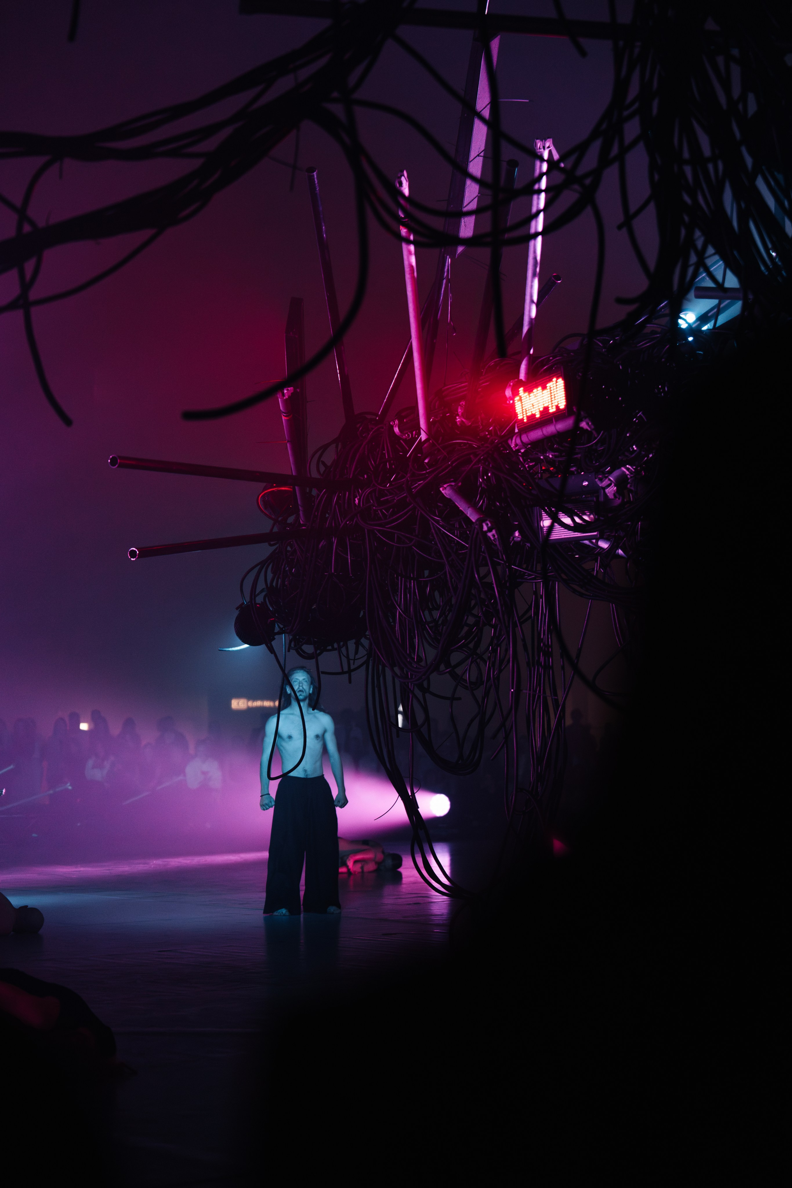 PERFORMA, The Hour of the Horse. @tomrus: Рустам Шагиморданов — фотограф