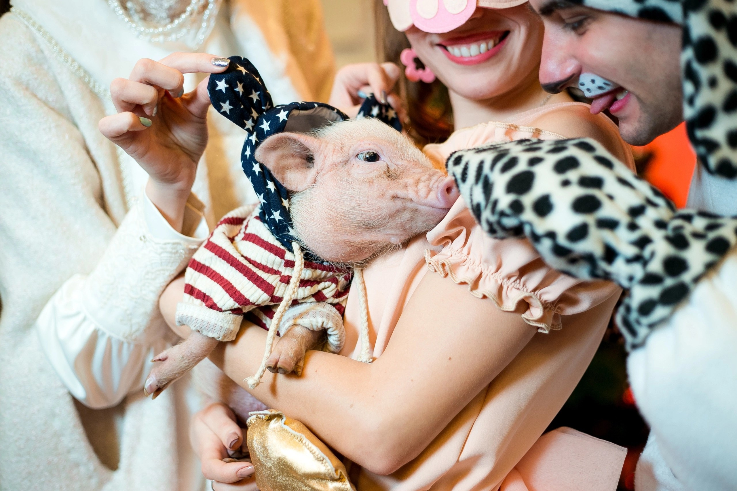 THE FACTORY. Организация мероприятий Донецк (ДНР). Организация и декор мероприятий Донецк (ДНР)