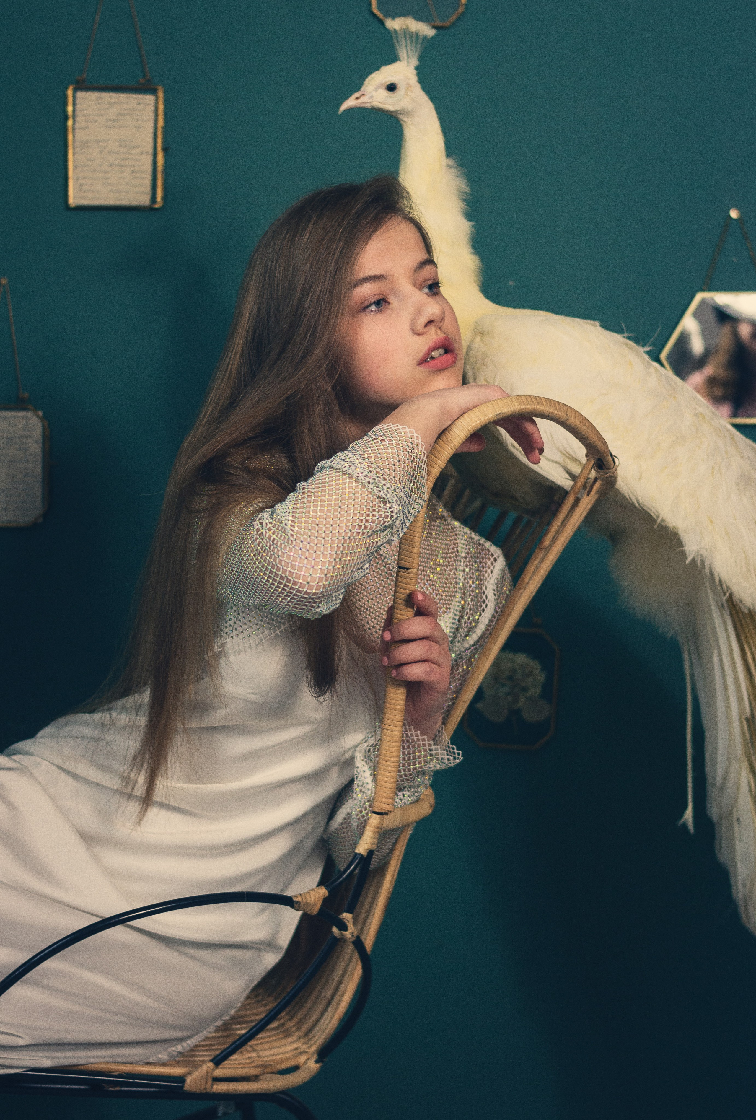 Фотосессия с животными. Семейный и свадебный фотограф в Москве и Домодедово Анна Авилочкина