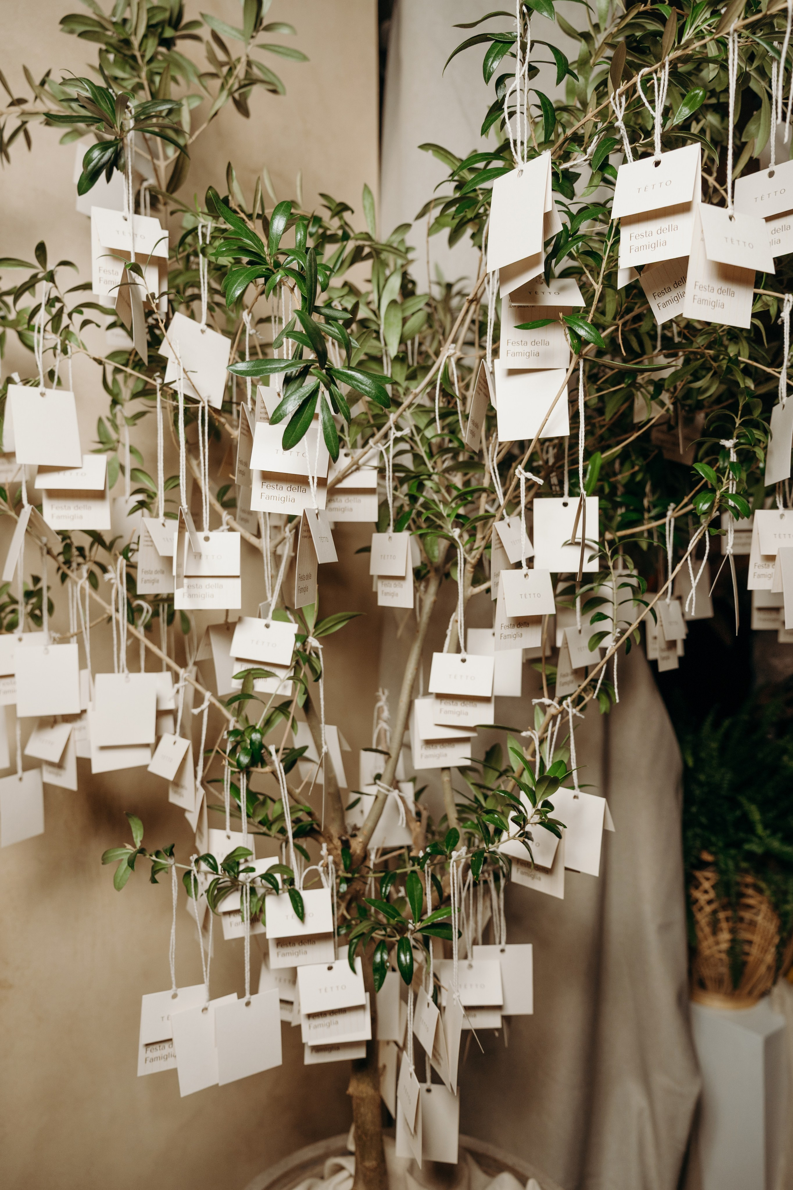 TETTO // День рождения Ресторана. Фотограф Элина Брусенцева