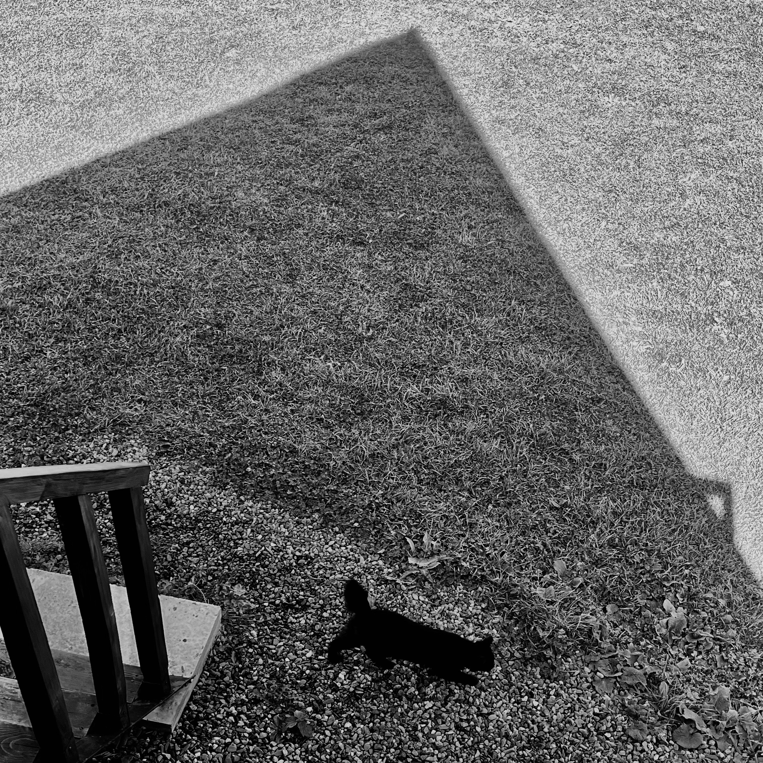 Геометрия, разное. Портретный фотограф в Москве Евгения Яковенко