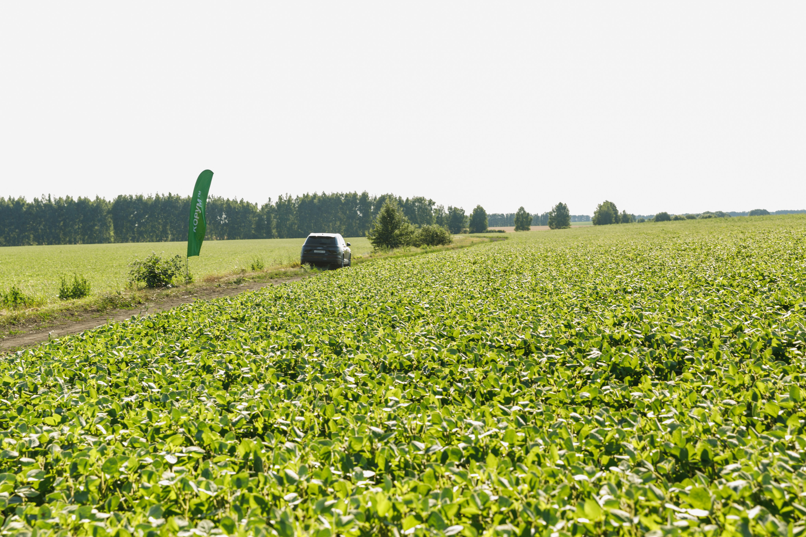 BASF. Конференция 2024. Фотограф Липецк. Фотограф в Липецке Татьяна Минаева. Портретный фотограф Липецк. Свадебный фотограф Липецк. Бизнес фотограф Липецк