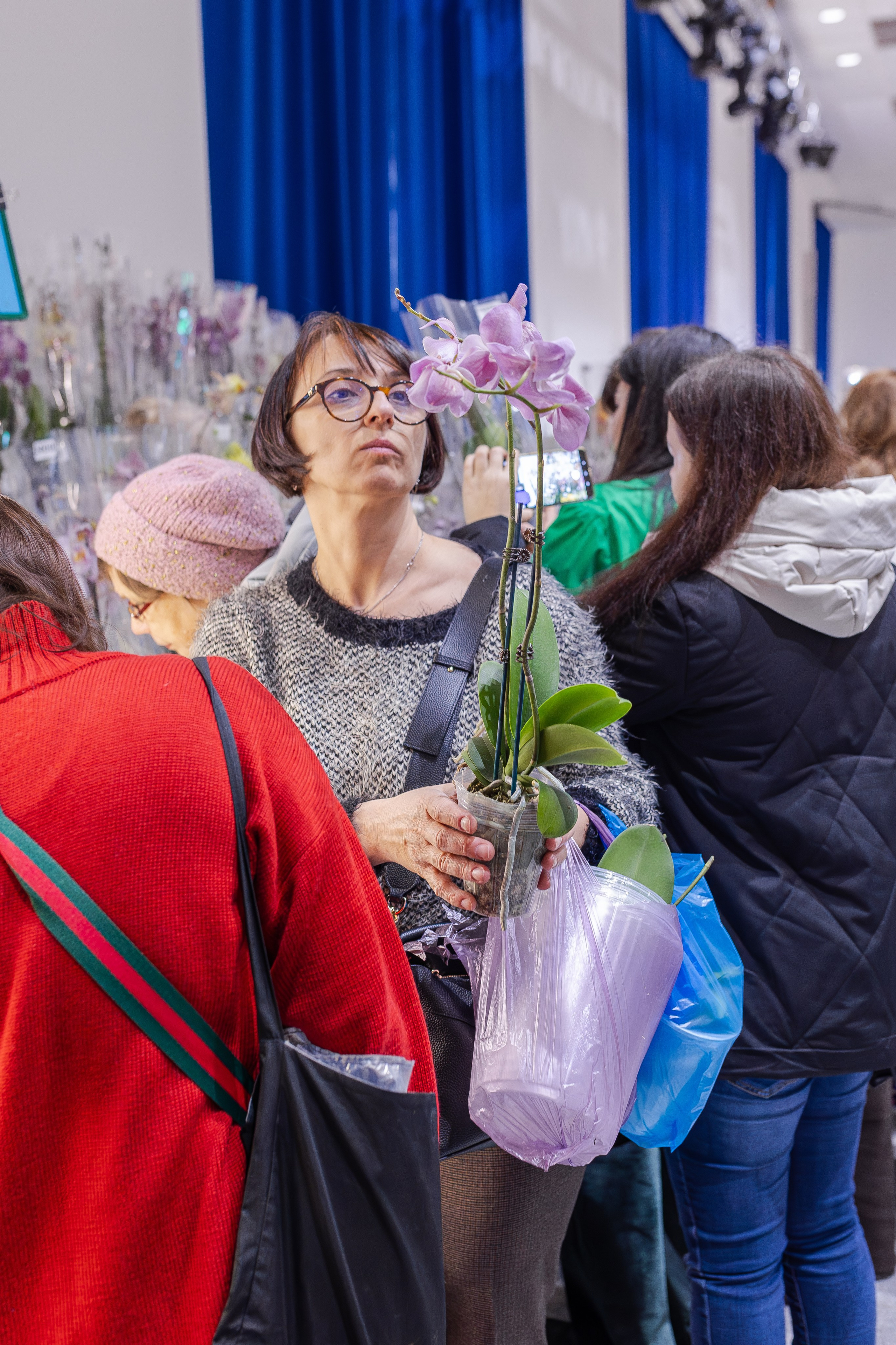 Орхидиум 12.2025. Александра Куликова фотограф, Москва