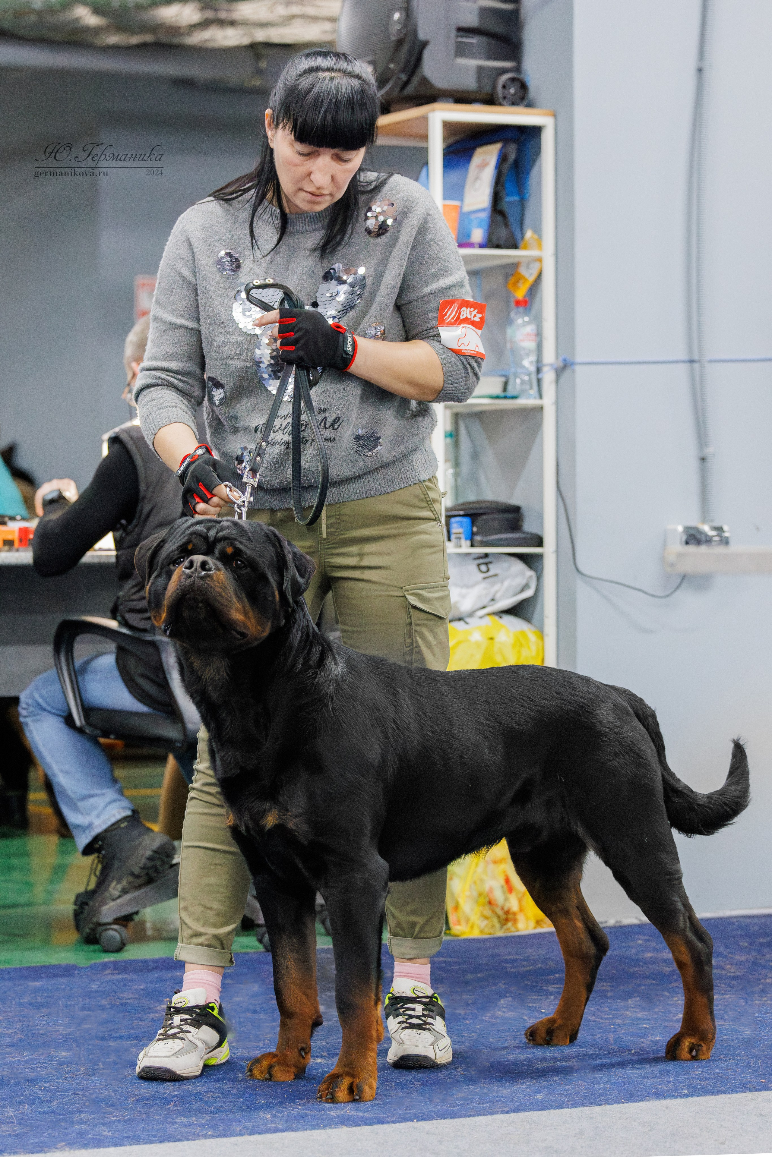 Крокус 21.12.2024,Сфера 29.12.2024. Фотограф-анималист Юлия Германика