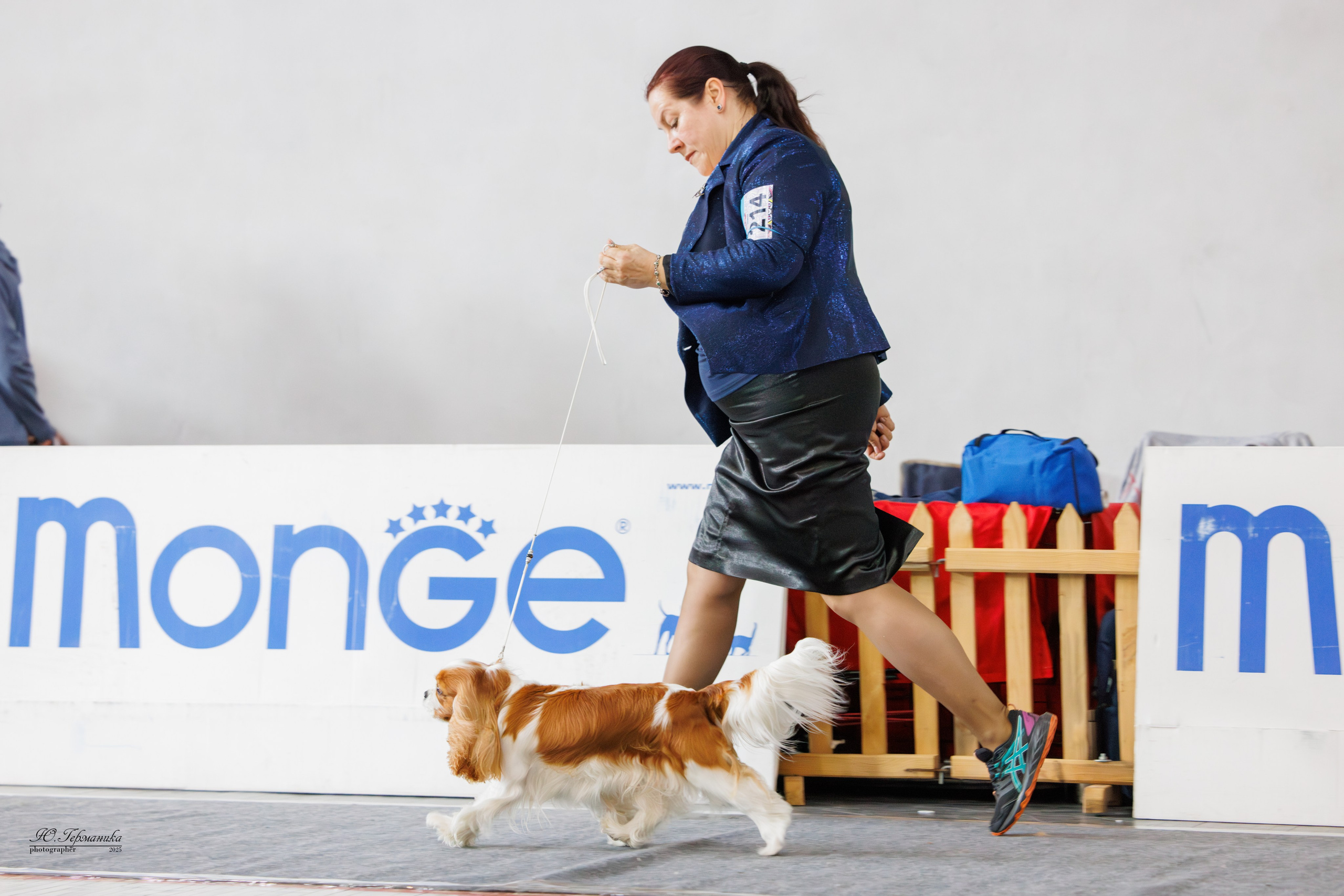 Ереван 2х CACIB 29-30.04.2025. Фотограф-анималист Юлия Германика