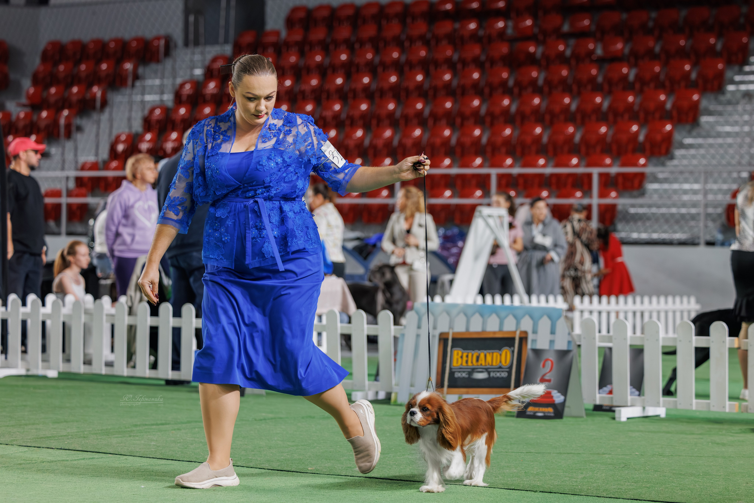 Телави 11-12.10.2025. Фотограф-анималист Юлия Германика