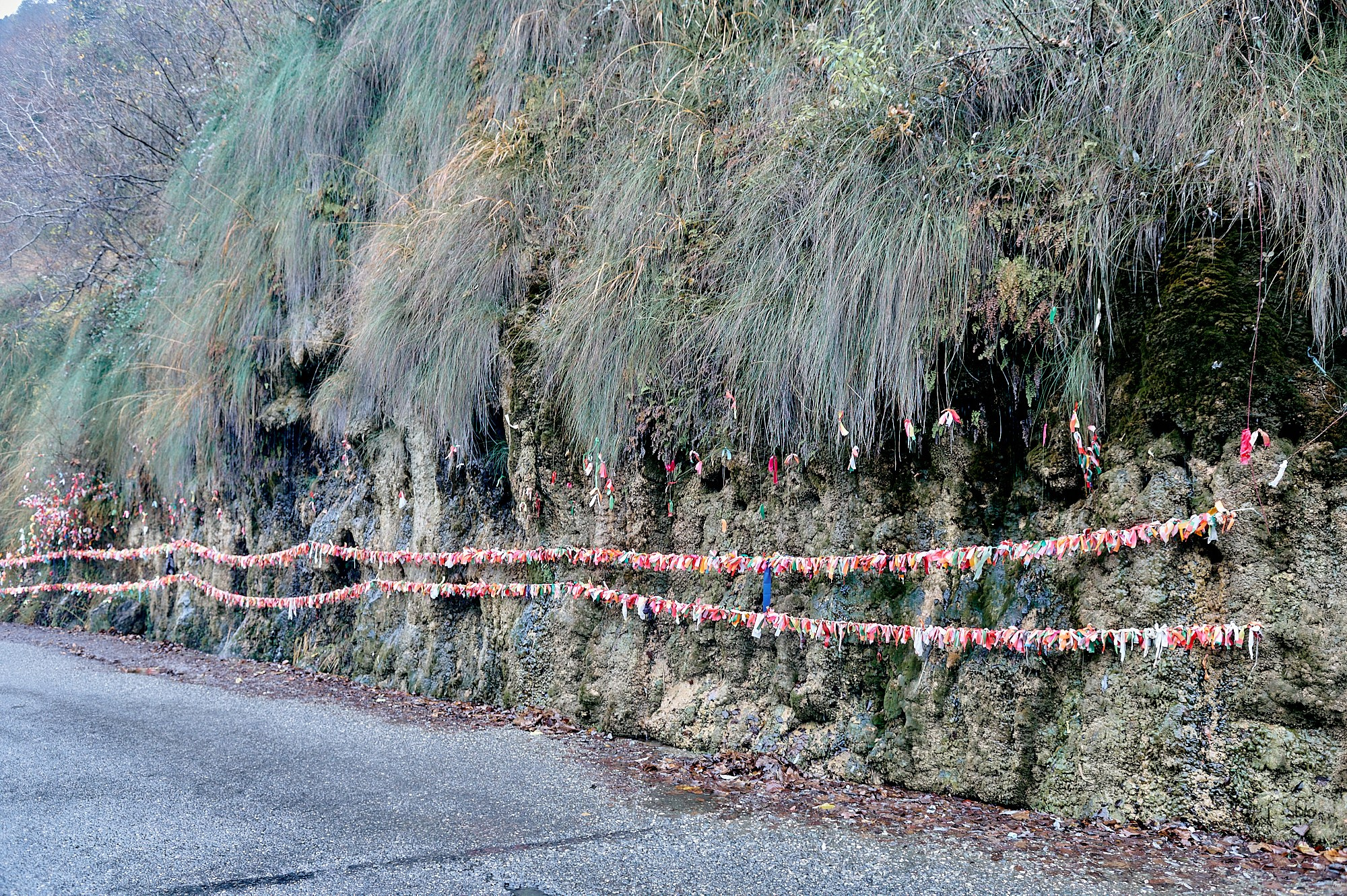 Озеро Рица, Абхазия. Декабрь 2024. Фотографии отовсюду и обо всем