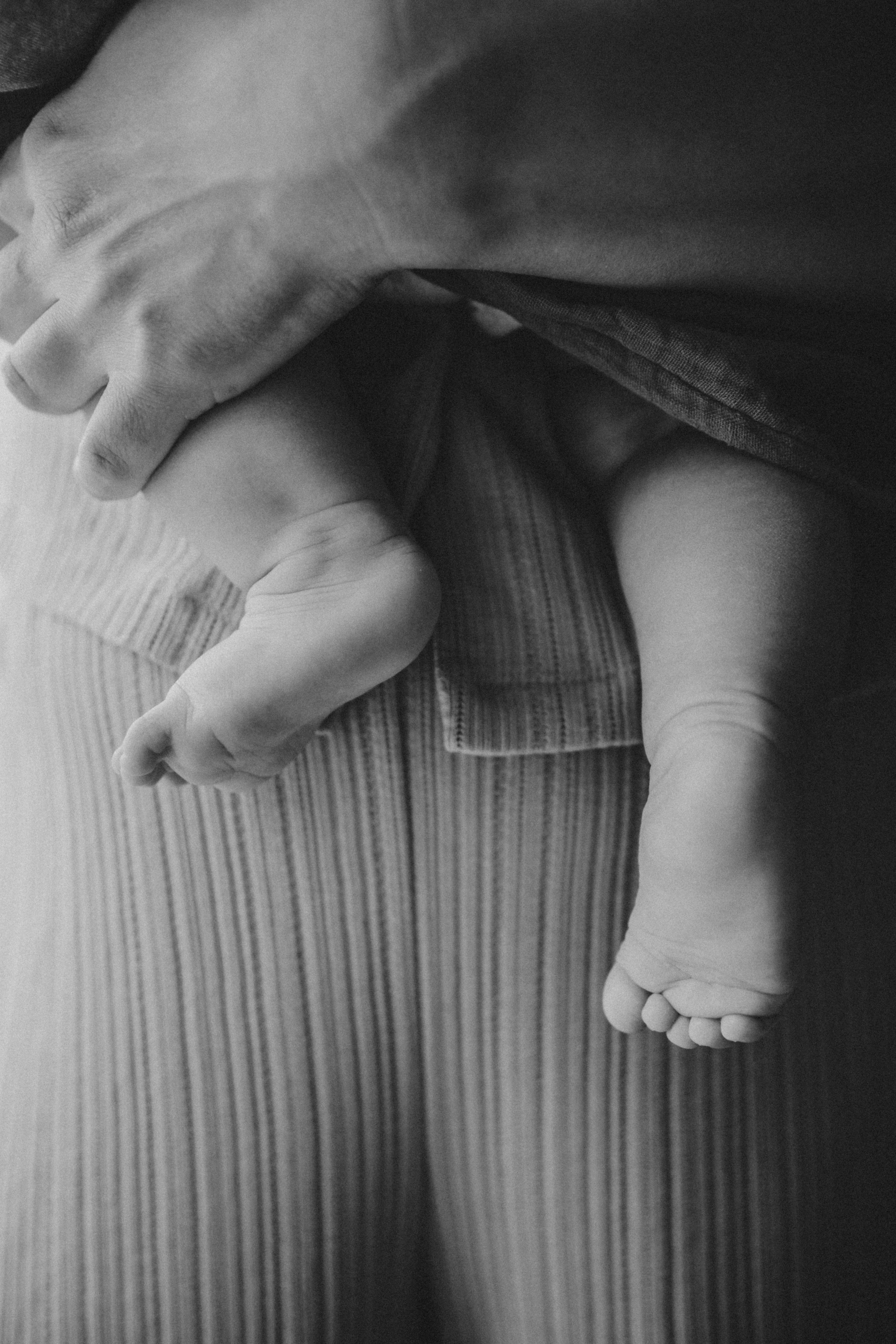 Александра, Диана и Елизавета. Семейный фотограф Земскова Евгения