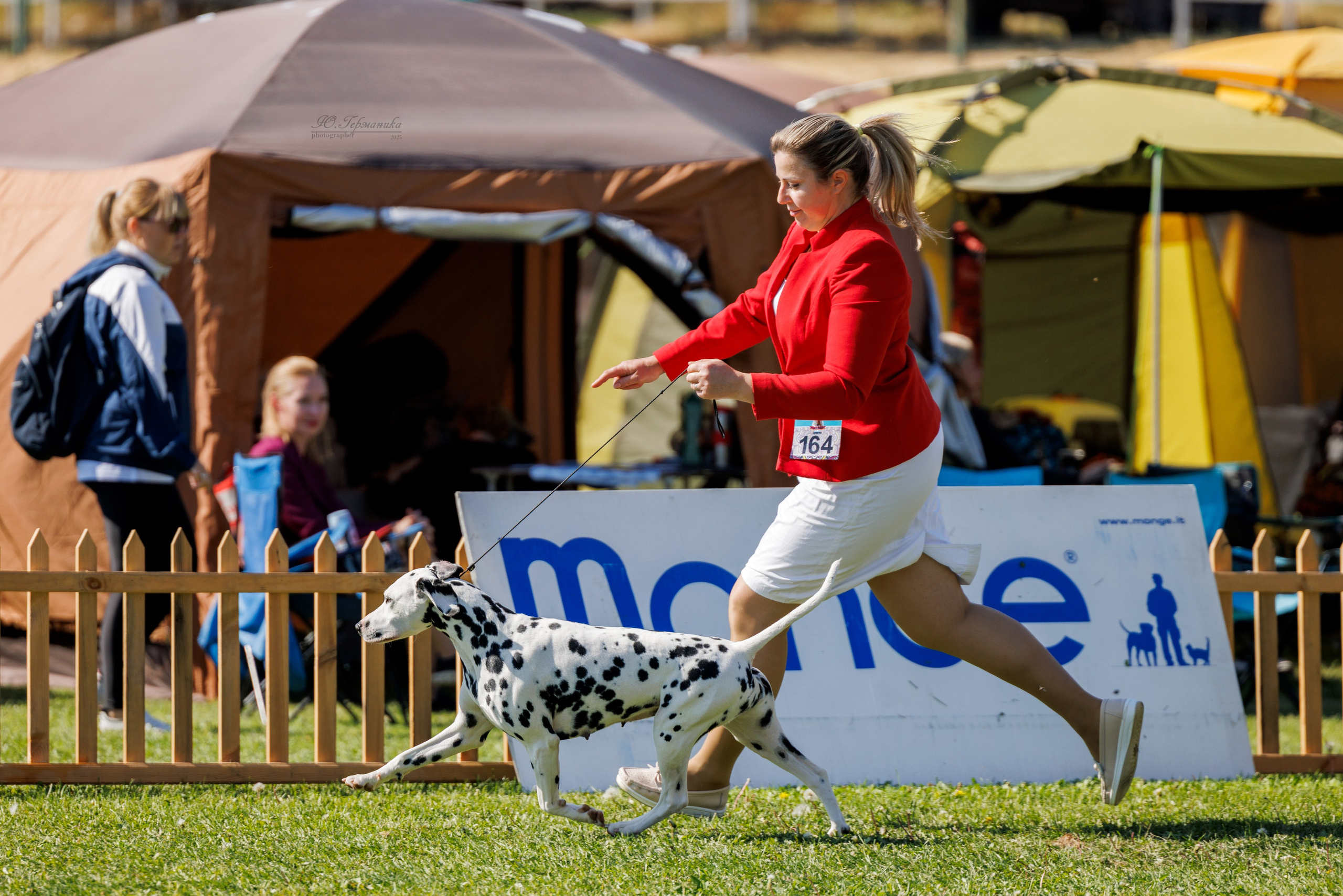 Ереван 14-16.10.2025. Фотограф-анималист Юлия Германика