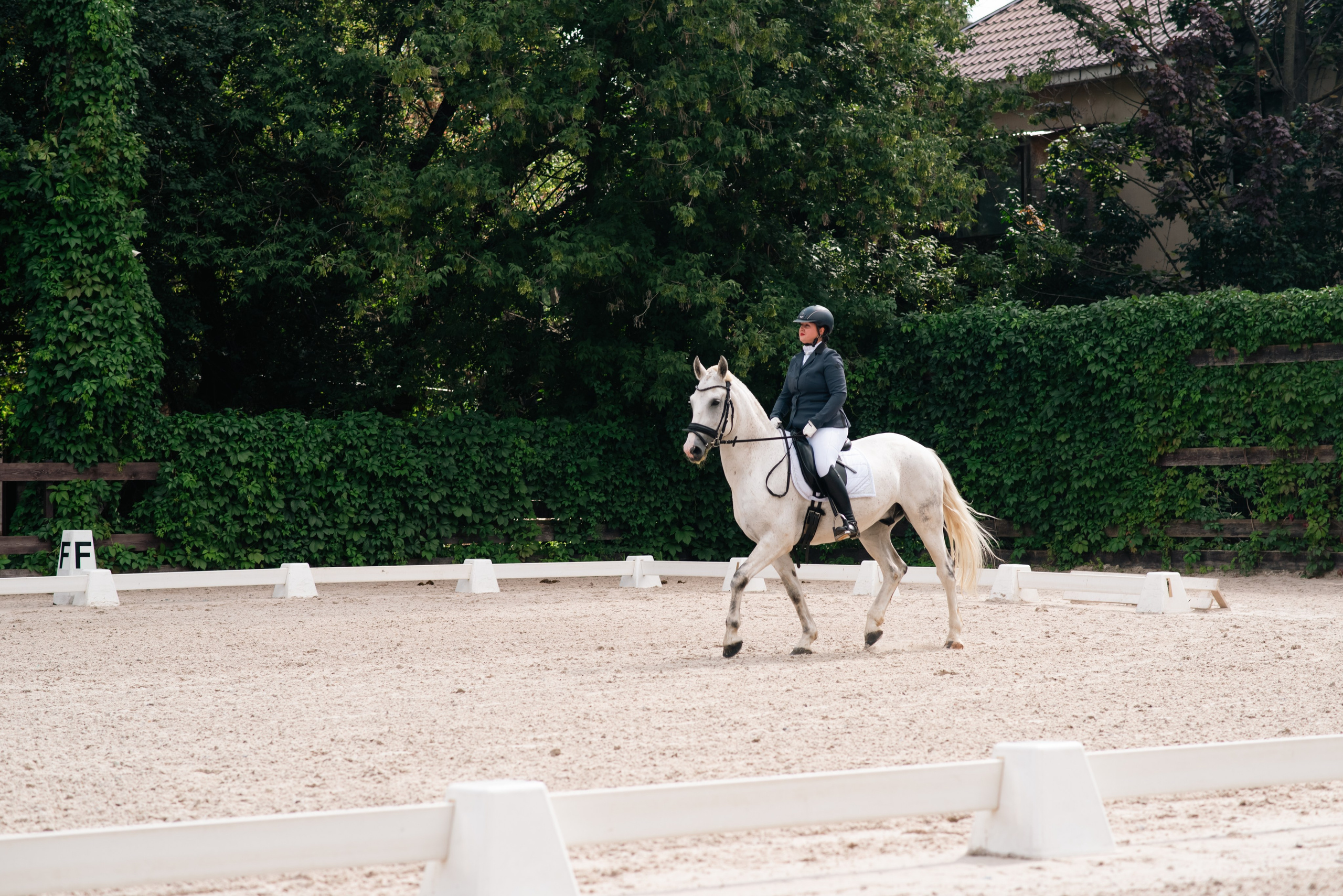 Выездка 10.08.25. Фотограф, визажист. Москва