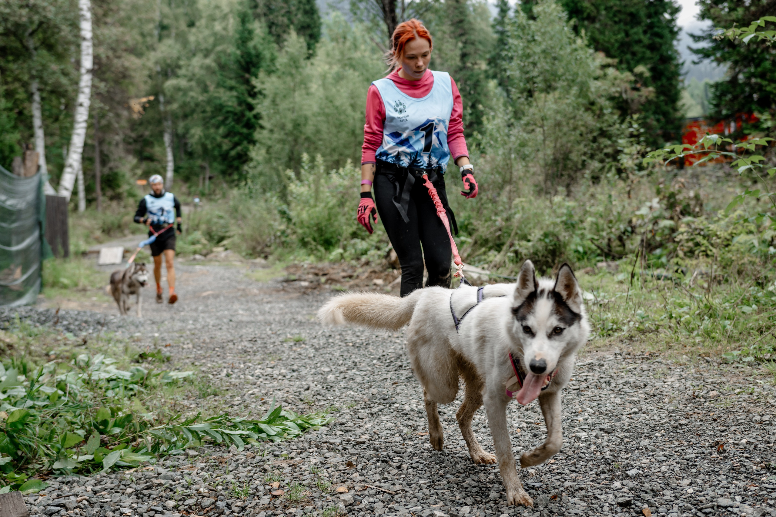 Дог-треккинг