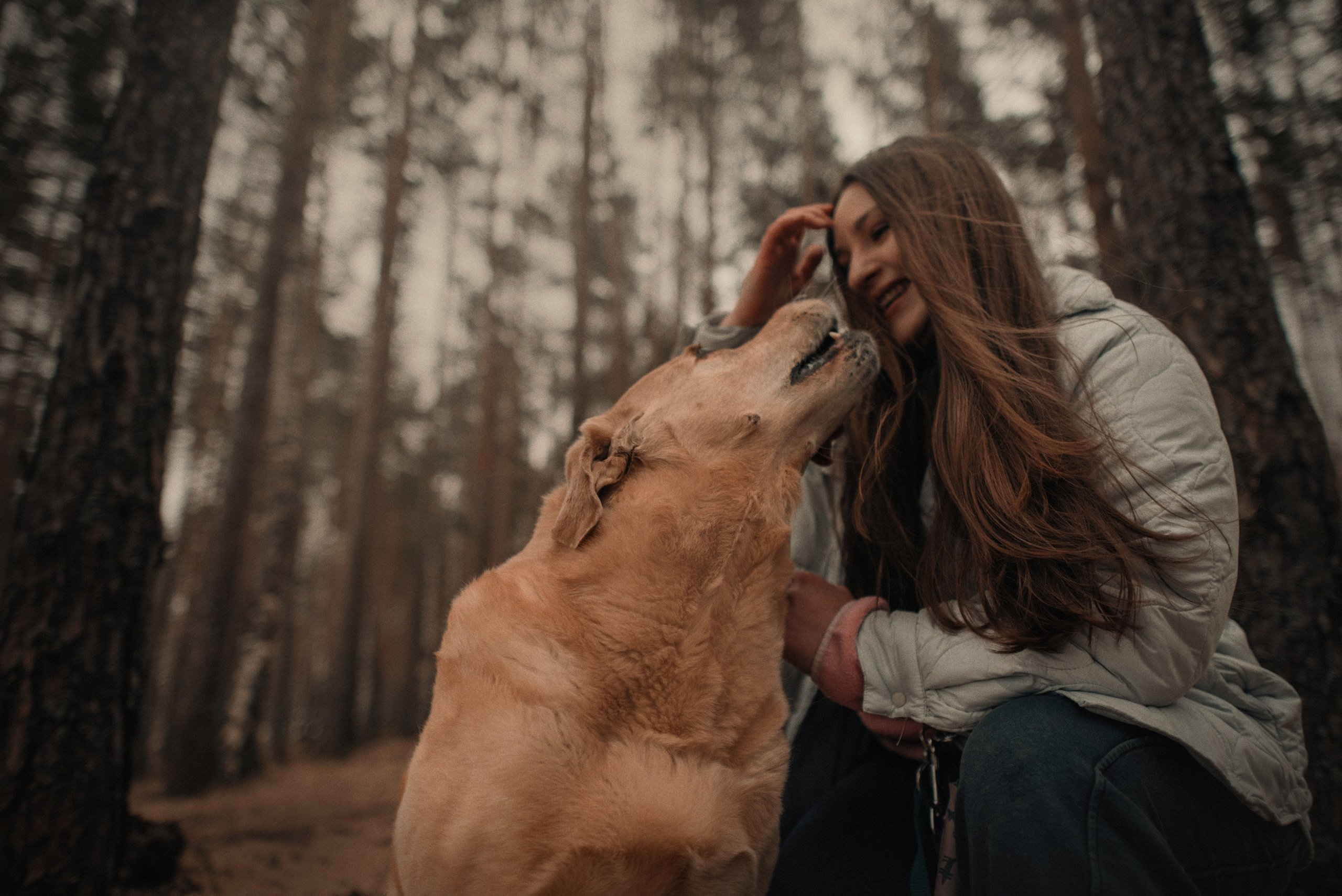 Прогулка: берн Пума, Фрэнк и Юля в Питере. Портфолио