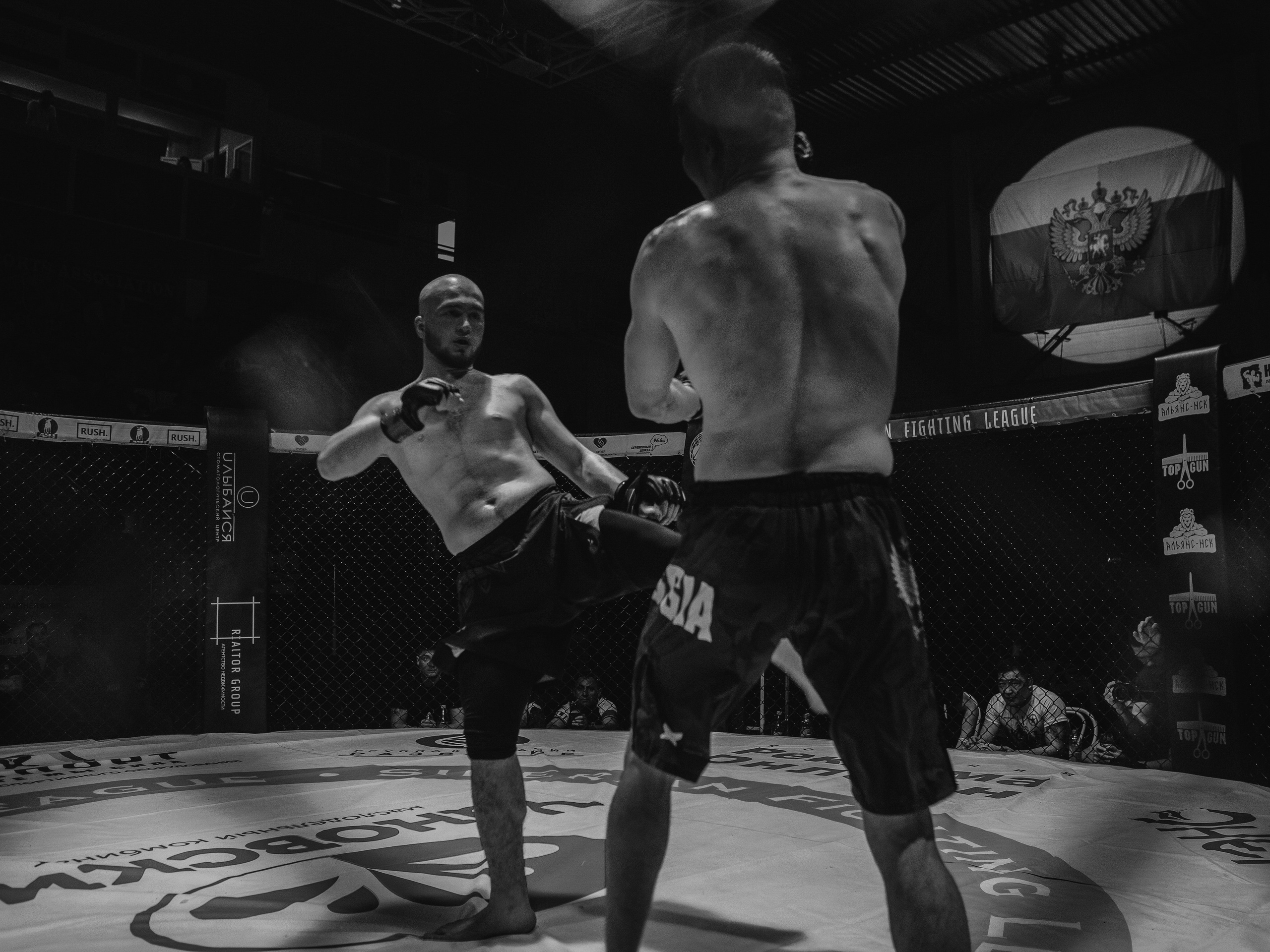SFL 17 | Siberian Fighting League. Портретный фотограф в Москве Дарья Цезария