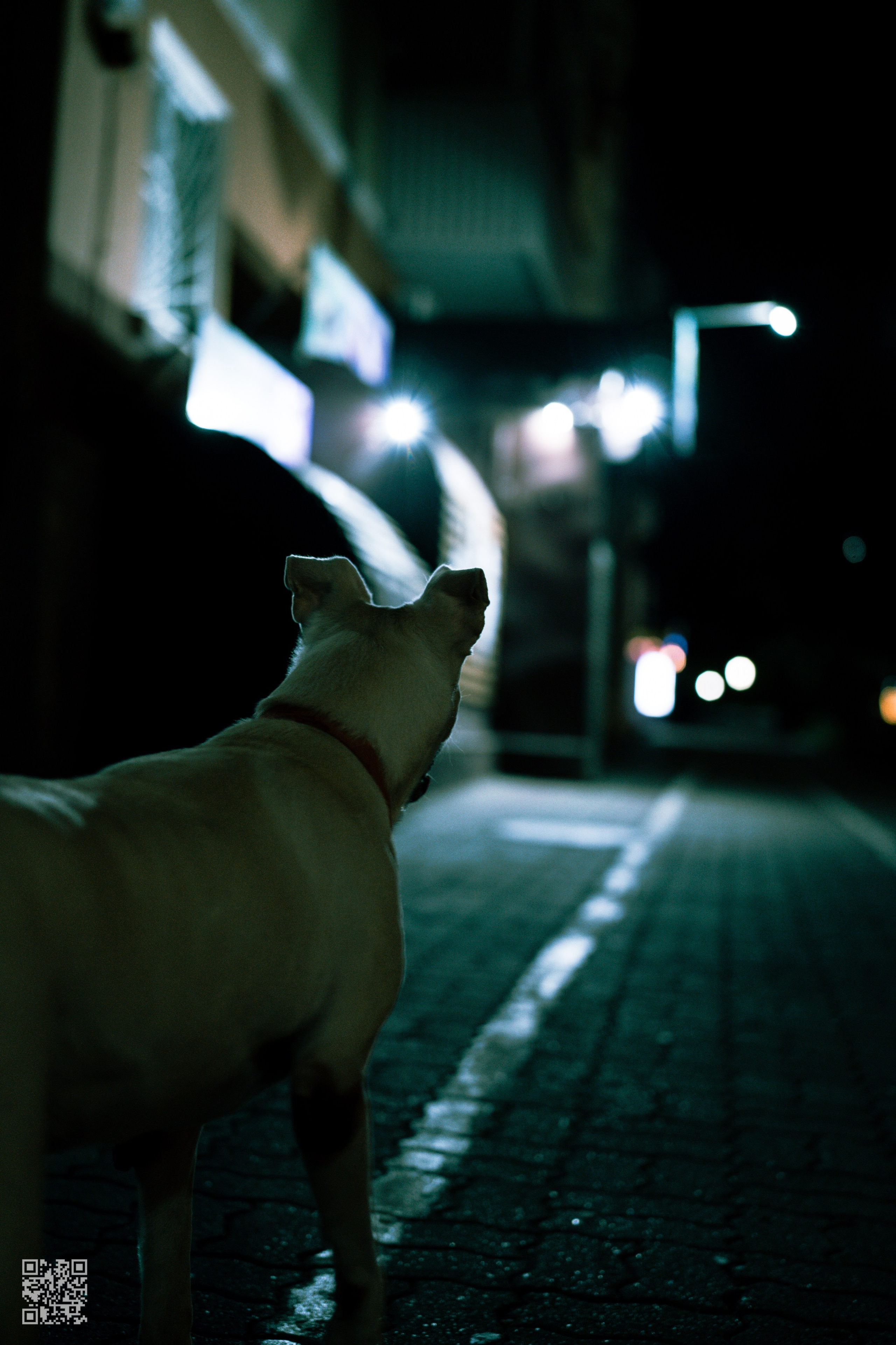 Фотография глазами меня. Photo by Volanchiek