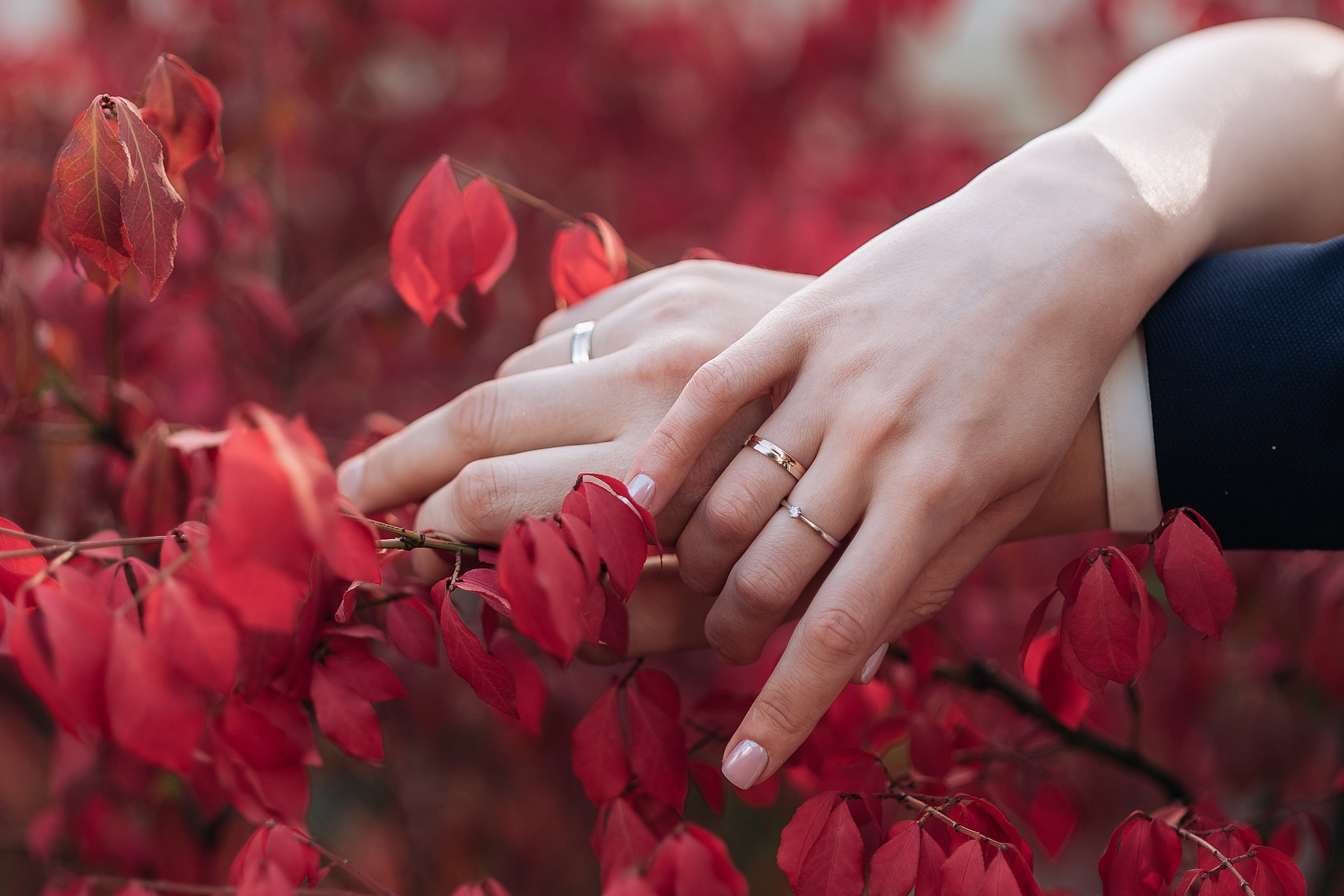 Денис и Екатерина ВДНХ. Свадебный фотограф в Дубне Алексей Фонарёв