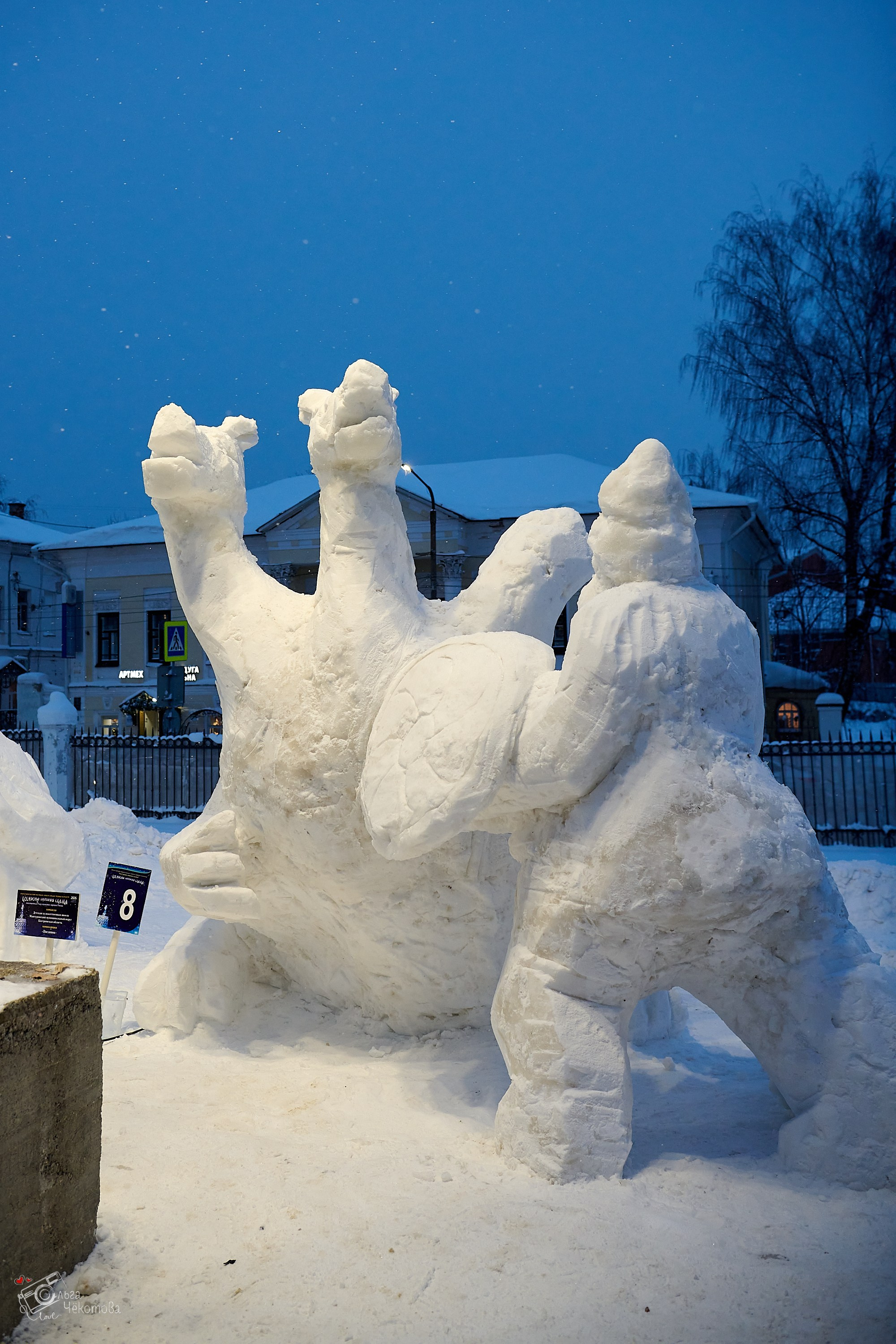 Кострома — зимняя сказка. Ольга Чёкотова (Фотограф Кострома)