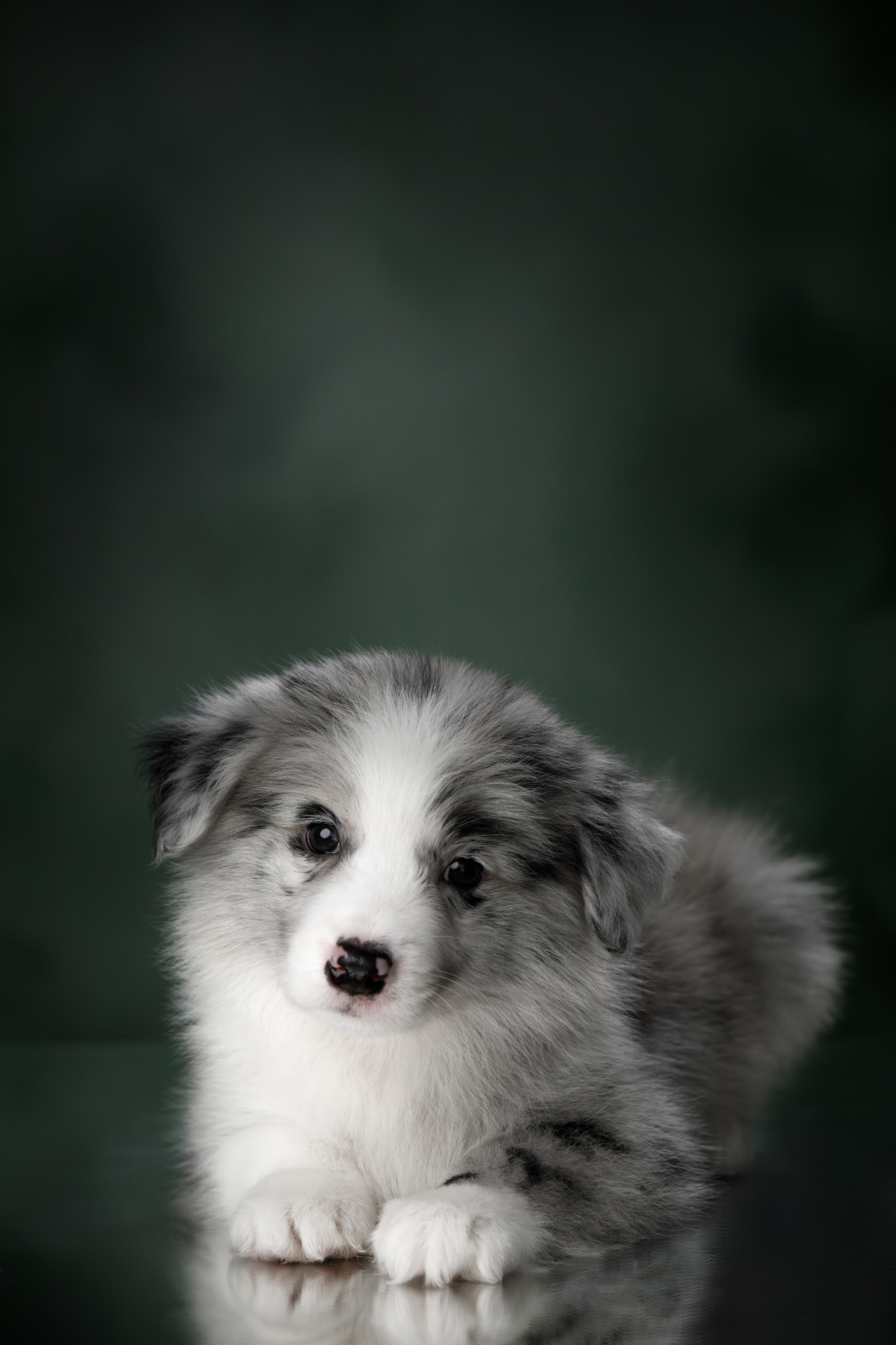 Март. Весна. 22. О нас