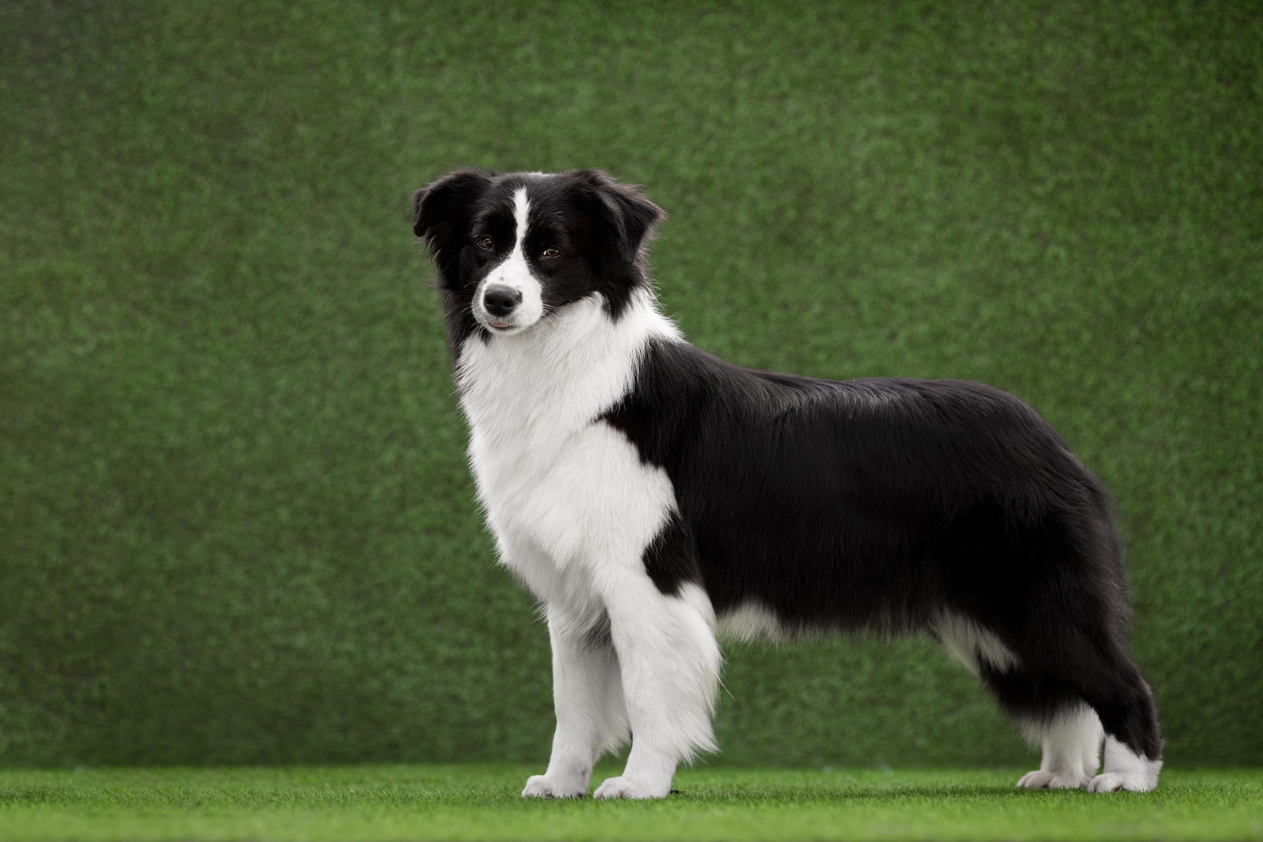 Роскошь в ростошах. О нас