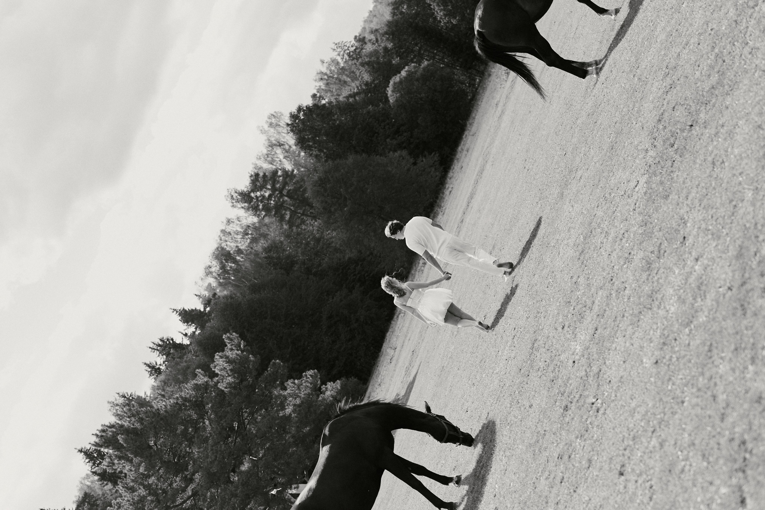 Летняя свадебная фотосессия с лошадьми