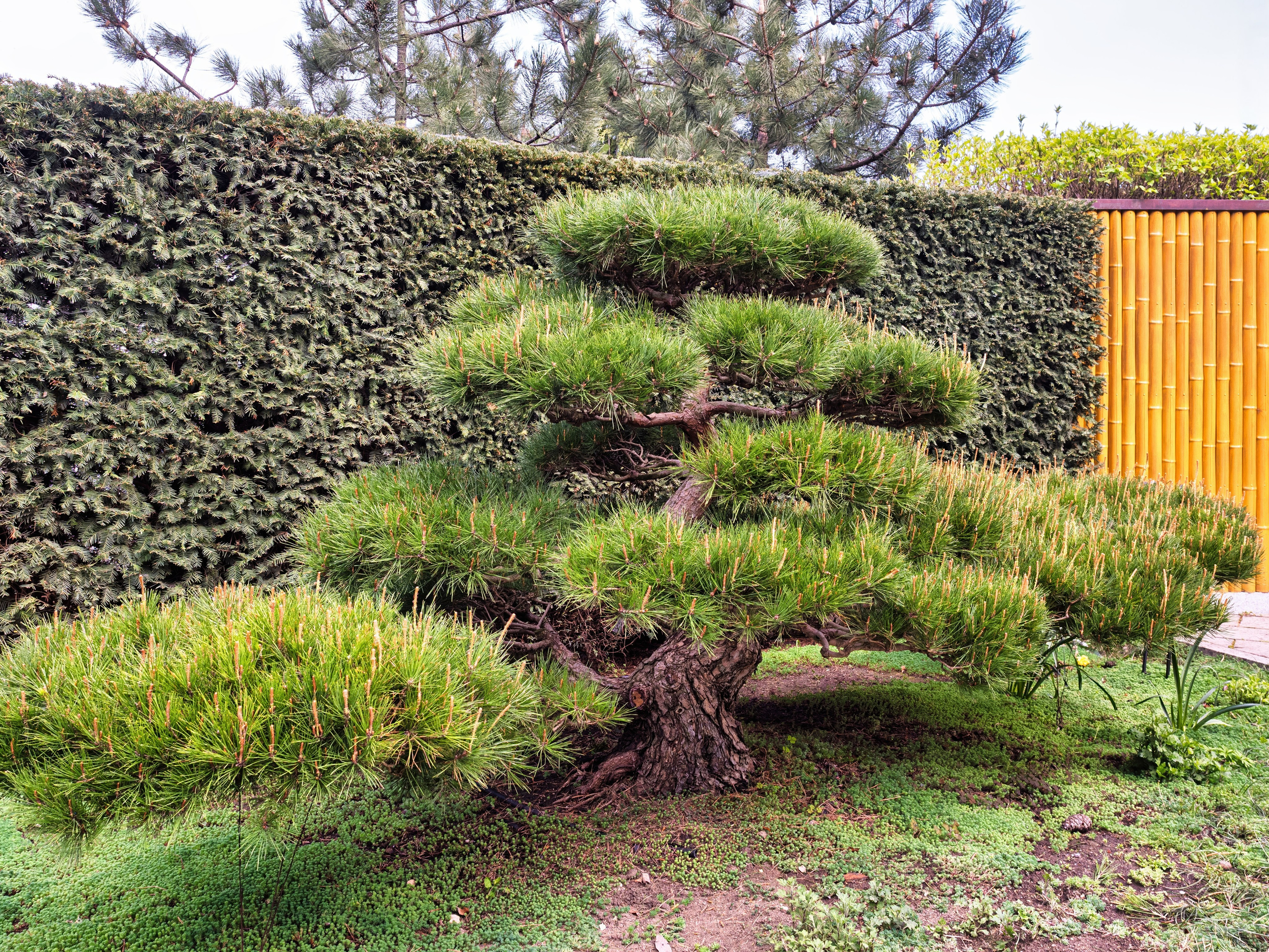 Крым, Утес, 2021 год. Фотограф Никифоров-Гордеев Сергей. Москва и МО