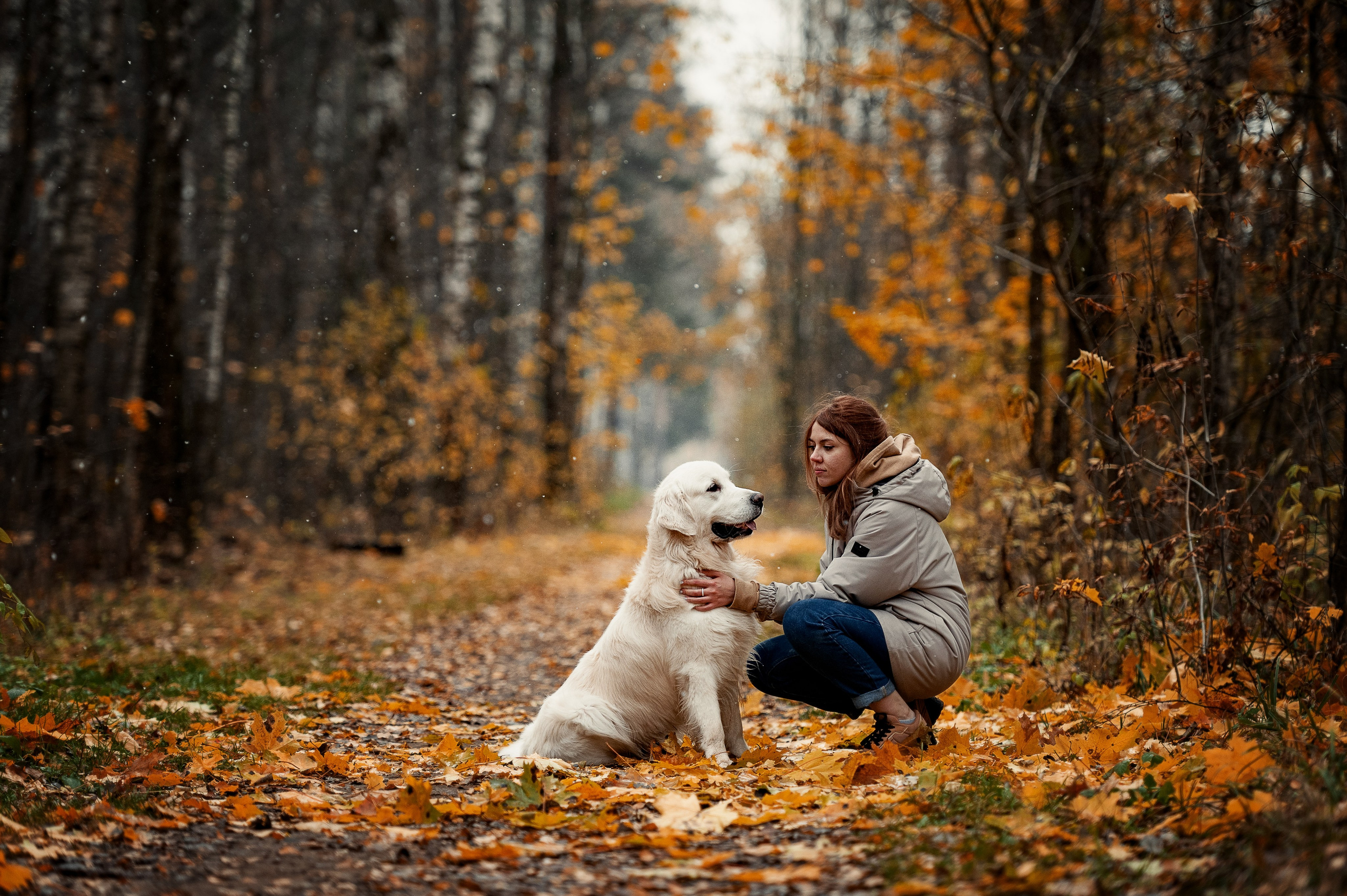 Айс и золотая осень. Фотограф-анималист