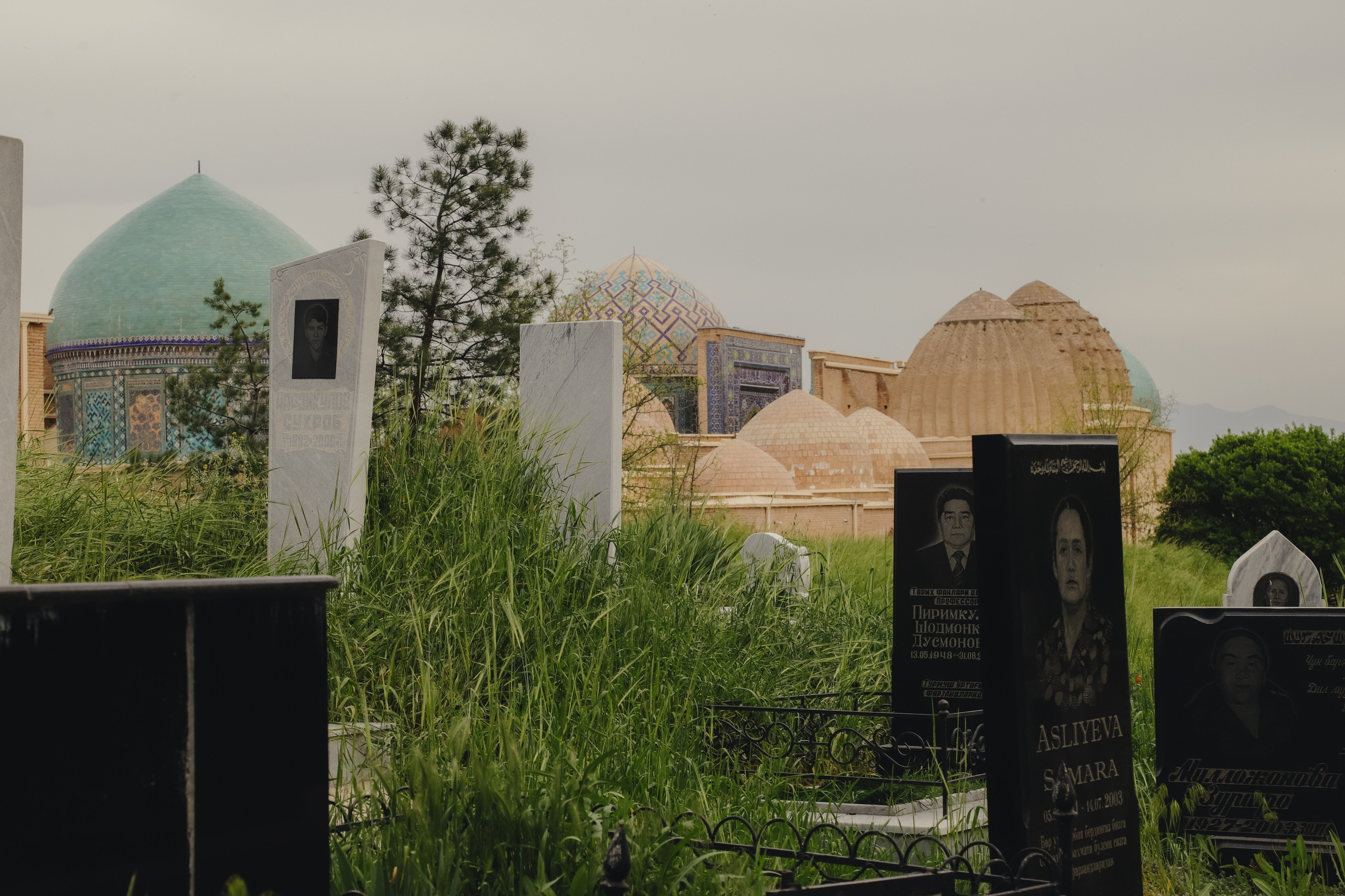 Самарканд апрель 2026. Фотограф Юля Постнова