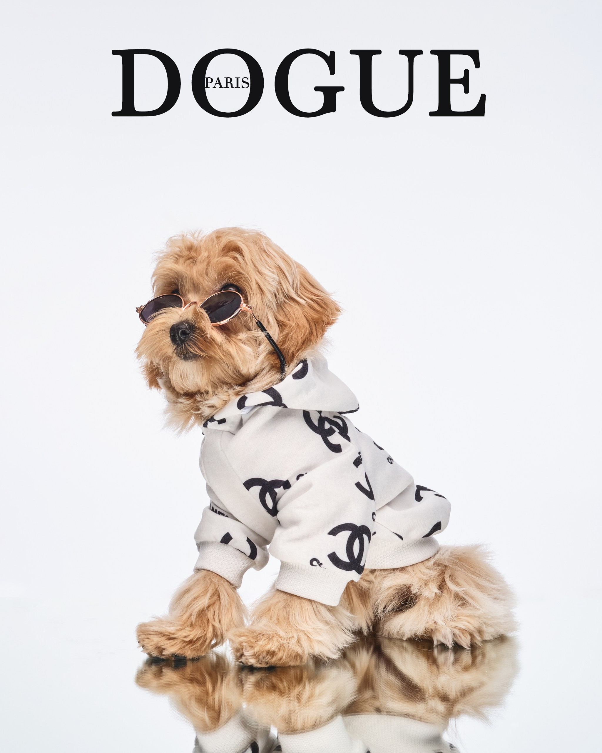 Фото с животными альбом. Фотограф в Москве — Галунина Кристина