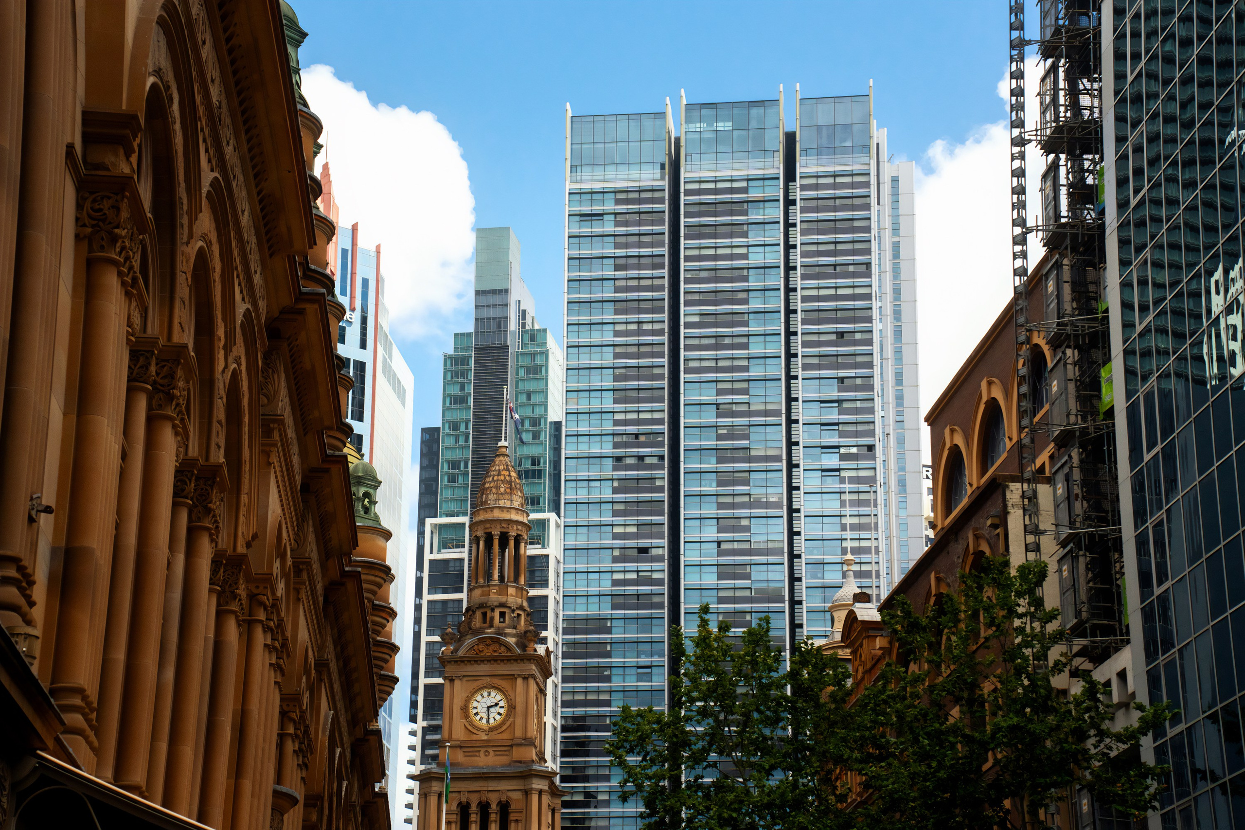 Австралия. Фотограф в Хабаровске. Фотография за 24 часа