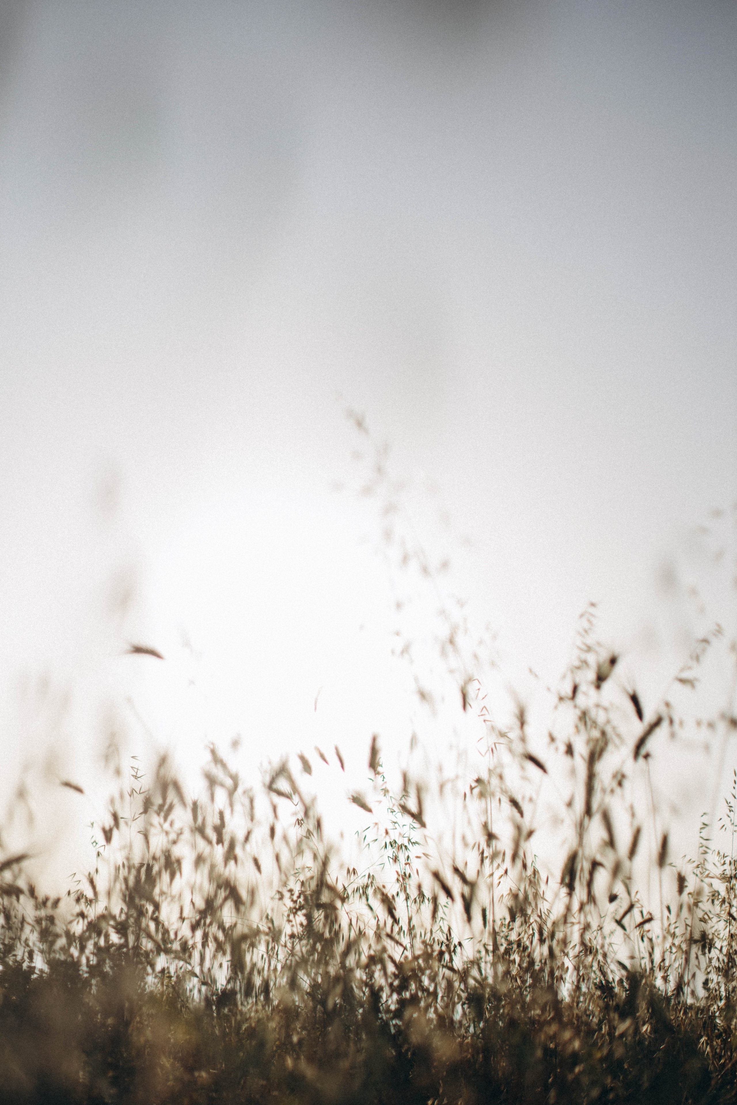 ONE SUMMER DAY. Фотограф в Геленджике Елизавета Гудина
