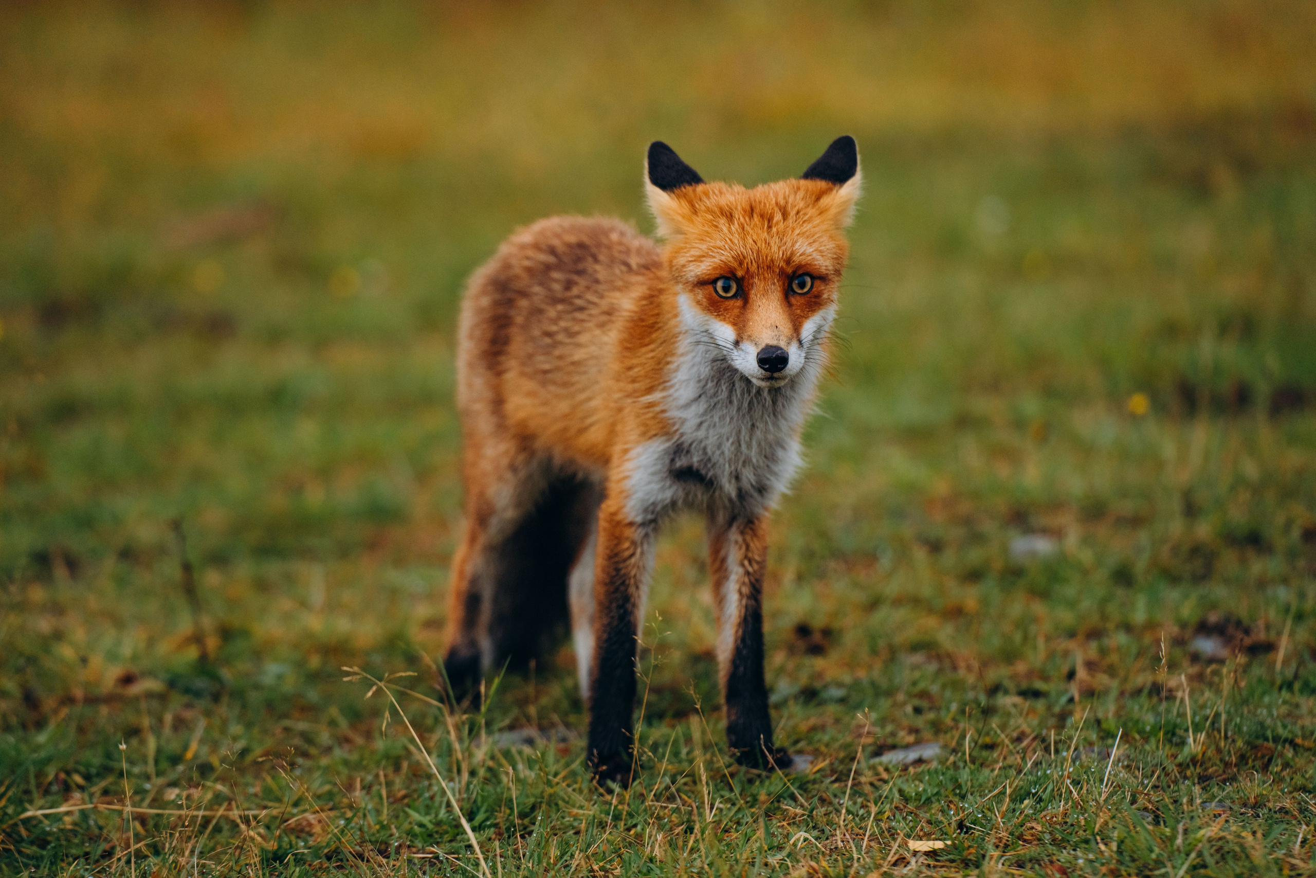 СЕВЕР. Event фотограф Степанова Александра