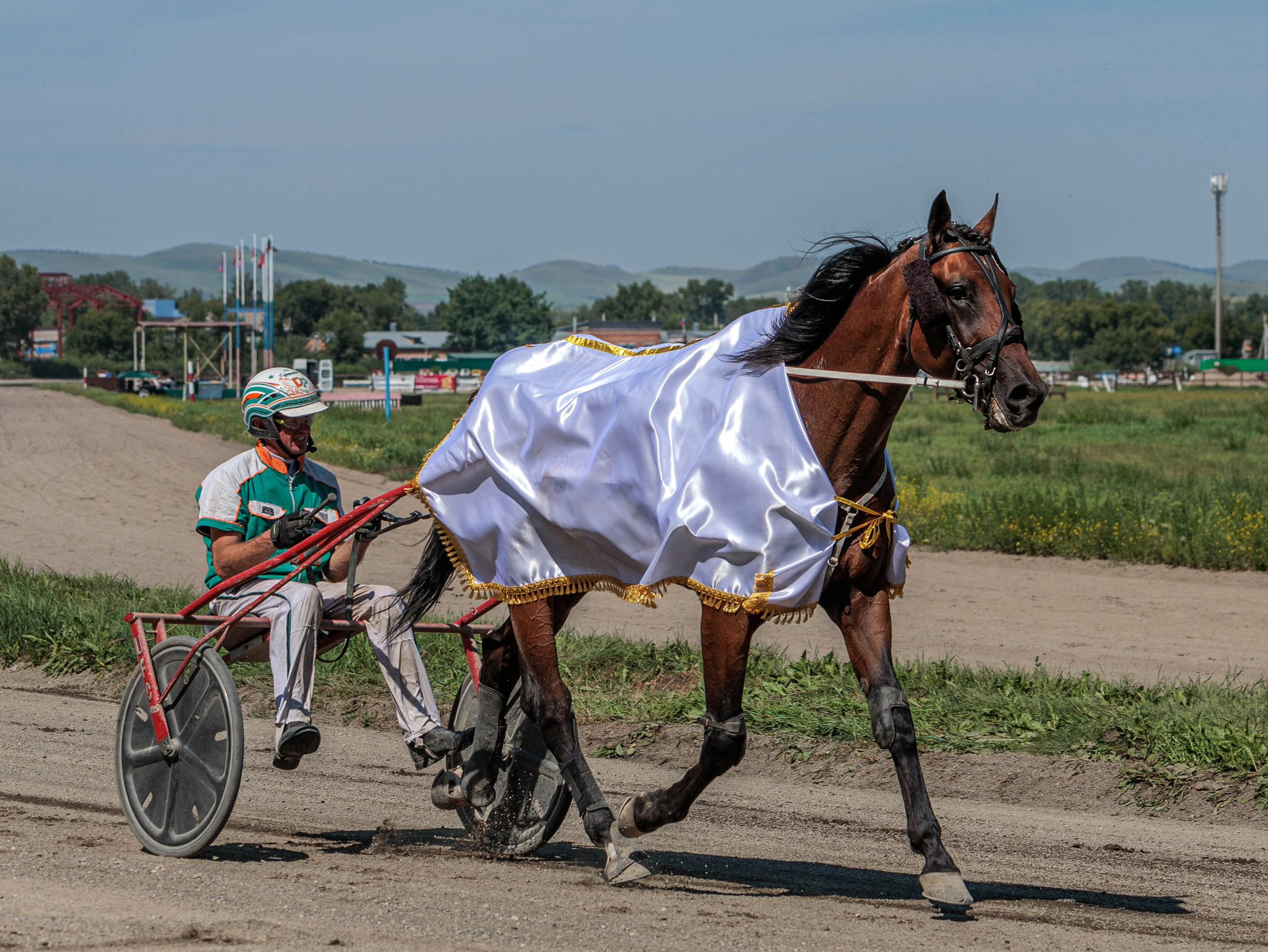 Зарисовки Абаканский ипподром 2025. Конный фотограф в Красноярске — Любовь Похабова