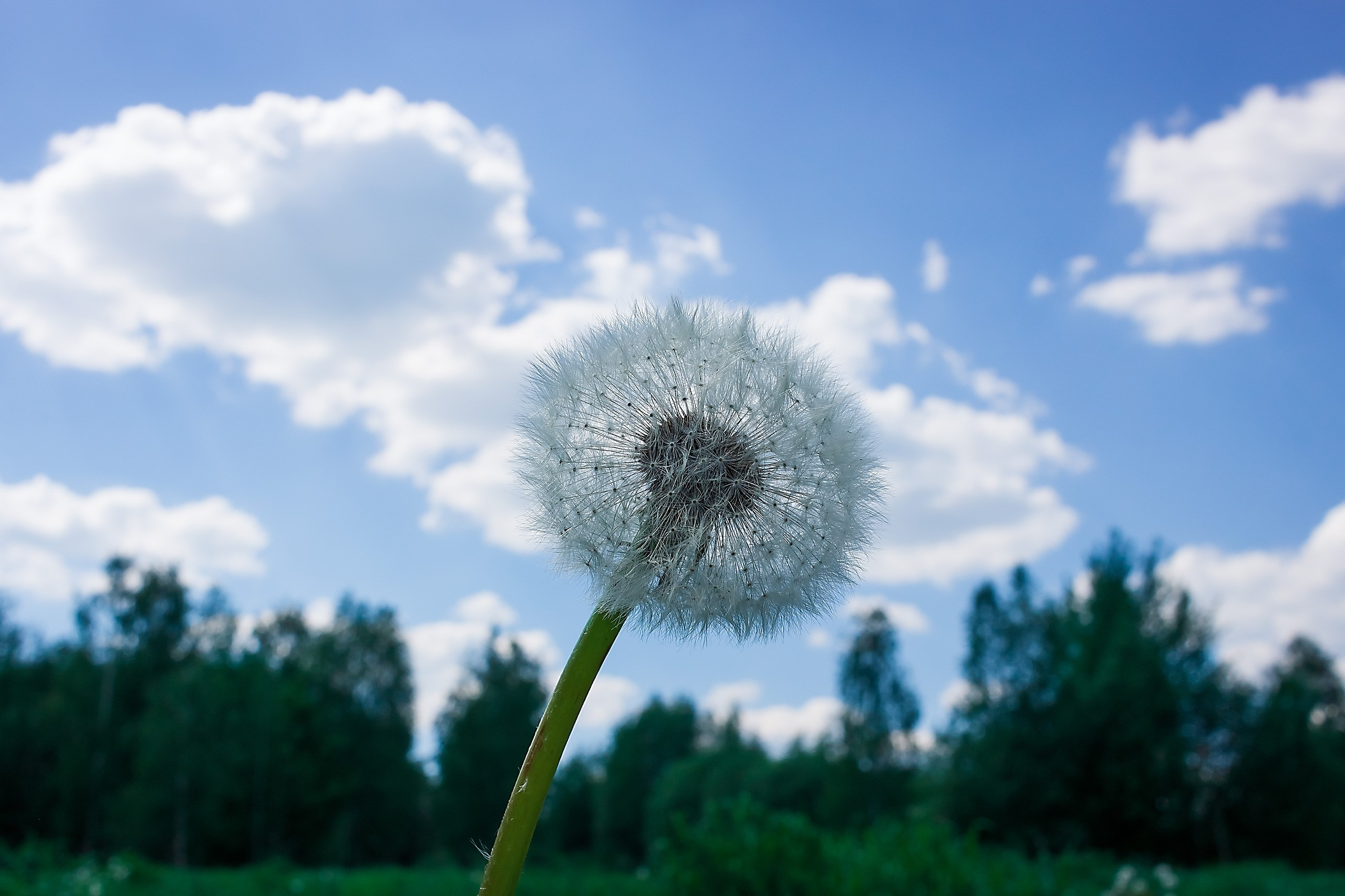 А что Дальше?. Аmat Victoria Сuram