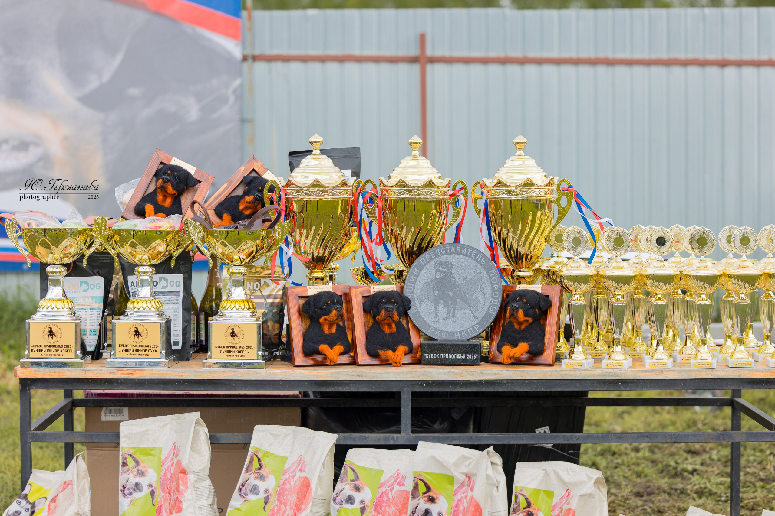 Нижний Новгород 2хмоно ротвейлеров 10-11.05.2025. Фотограф-анималист Юлия Германика