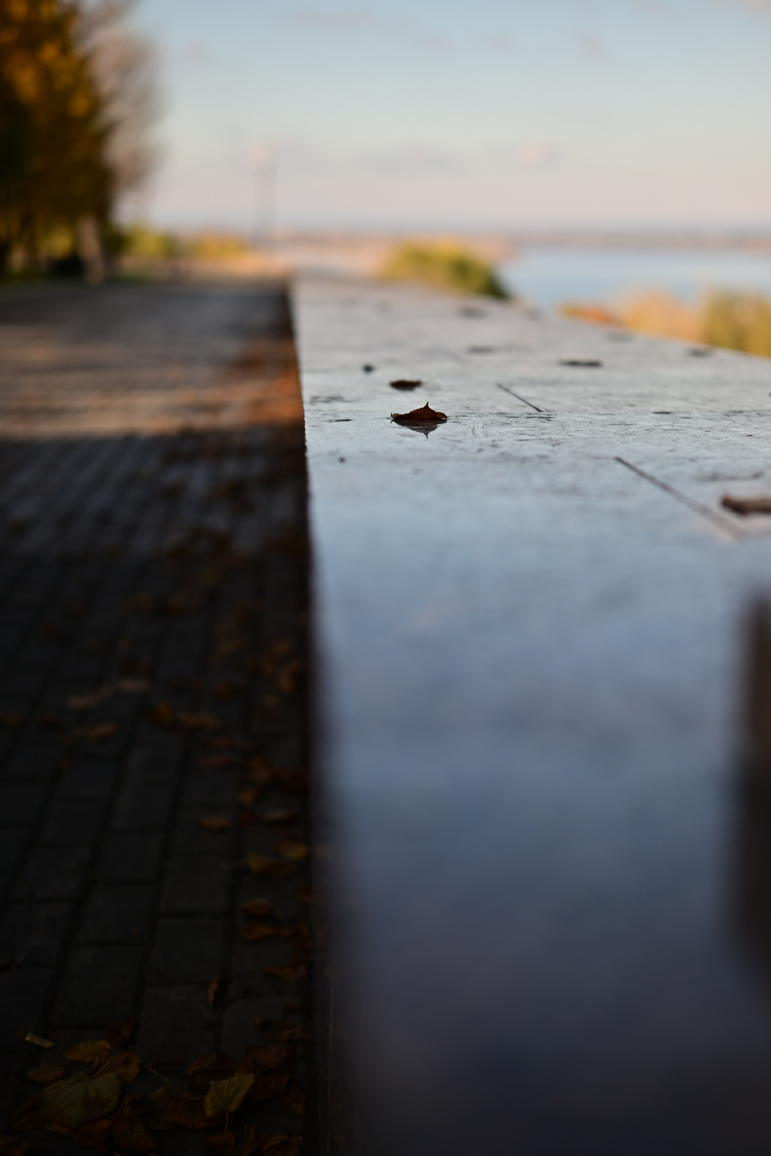 Осень в Самаре 2025. Фотосъёмка праздничных мероприятий, портретная съёмка в Самаре, Пётр Бубняев