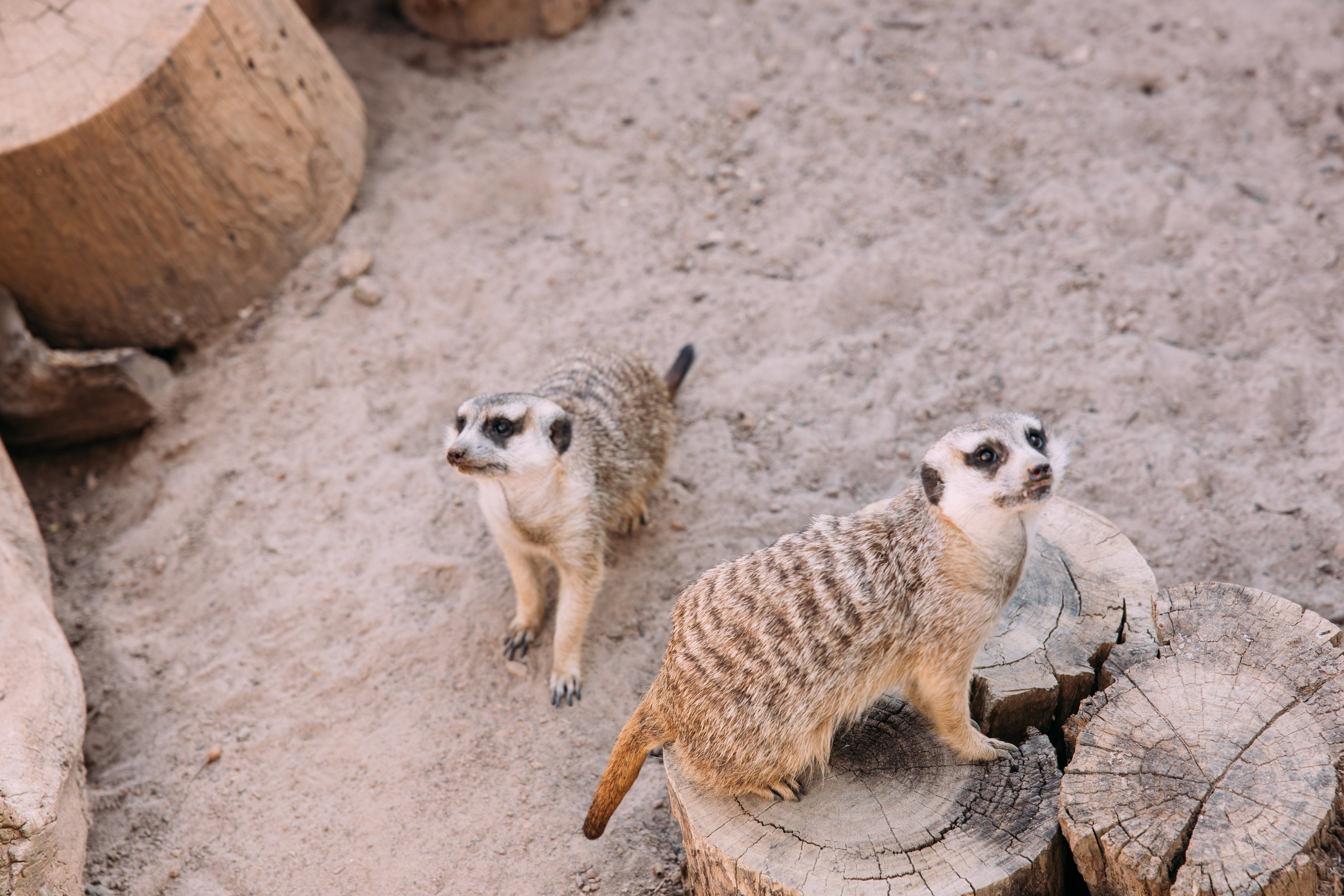 ФОТО ТУРЫ ПО МИРУ. Фотограф Марина Аблаева-Кожедуб