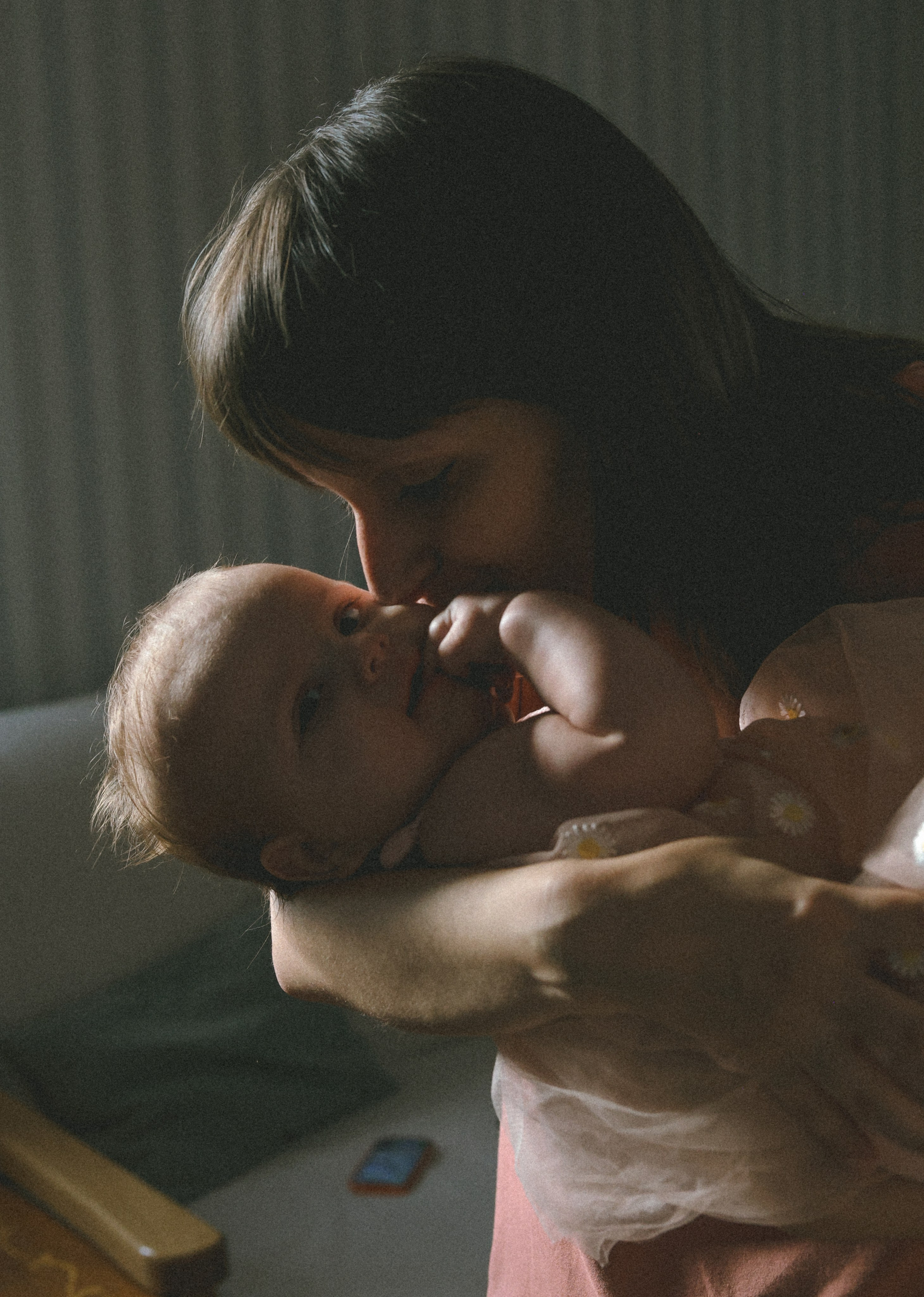 Домашняя история. Meryfotoidea