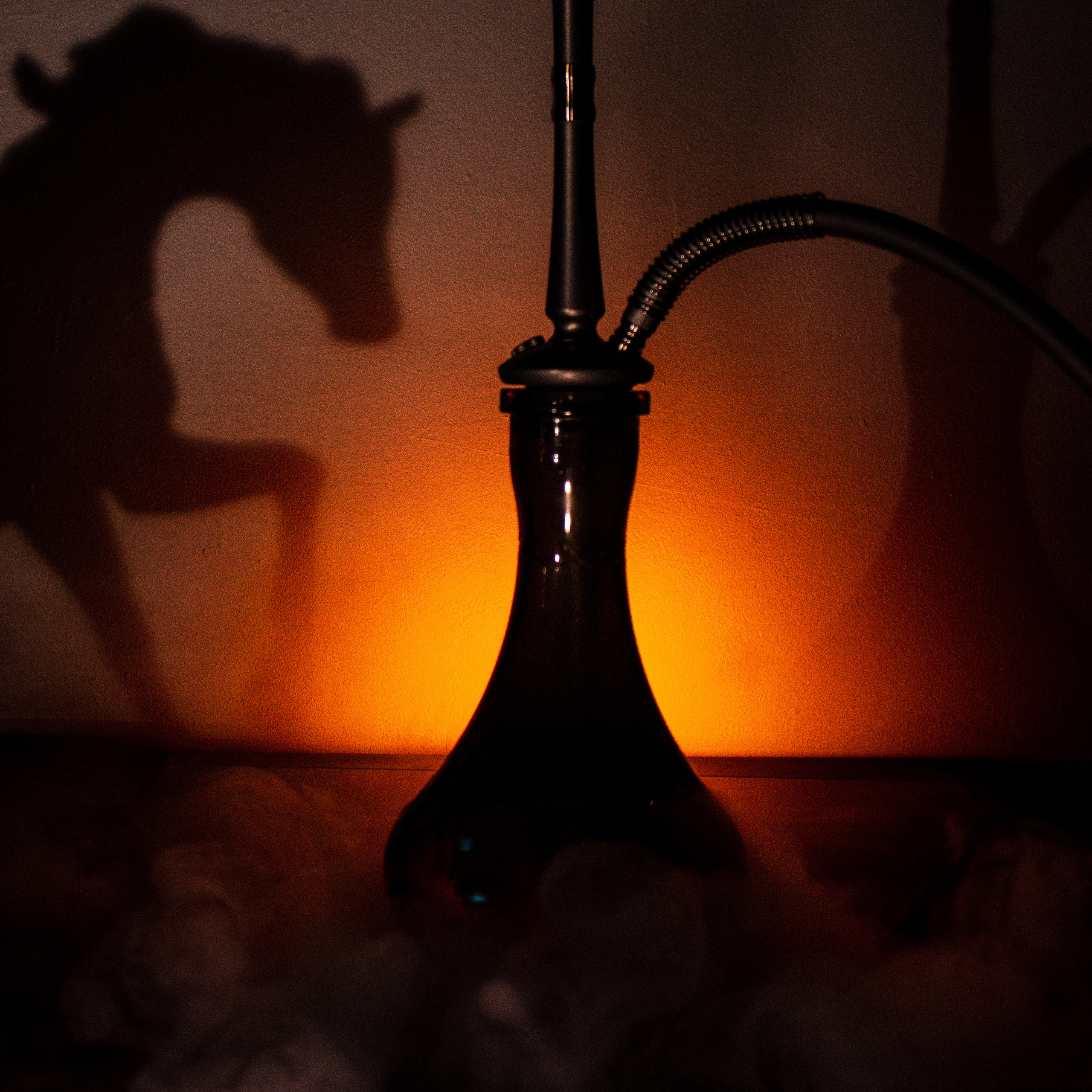 Кальянная Black horse. Настя Лекса. фотограф г. Красноярск