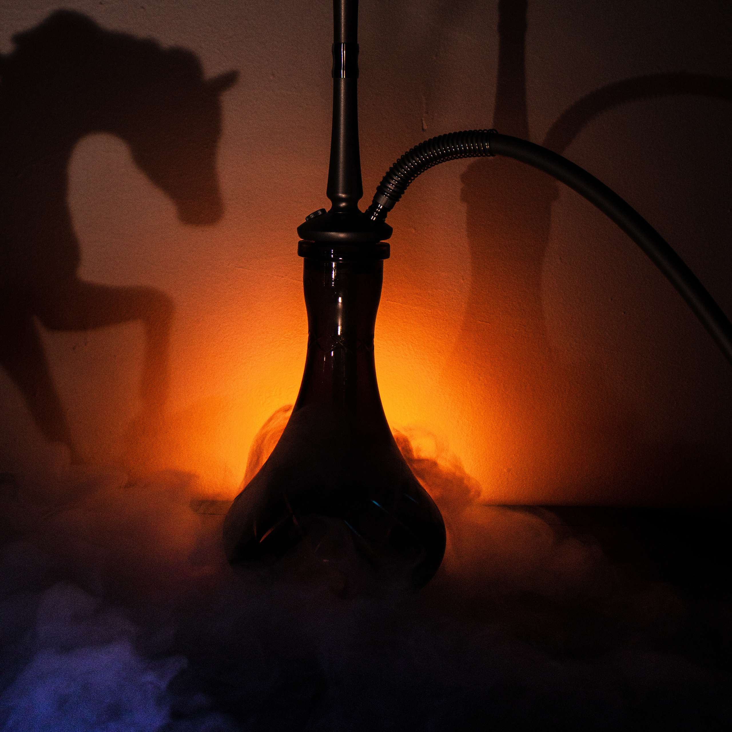 Кальянная Black horse. Настя Лекса. фотограф г. Красноярск