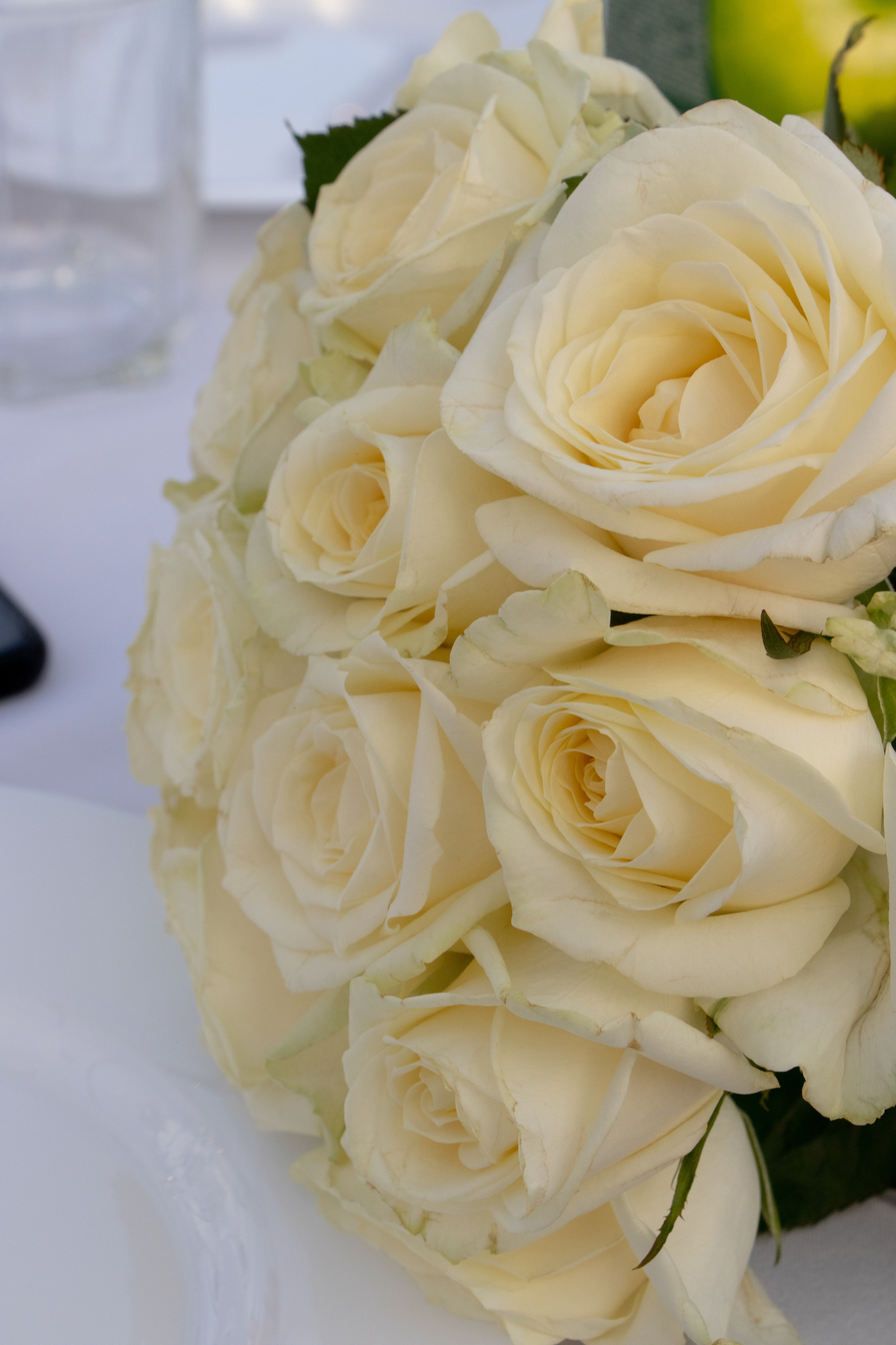 Игорь & Елена. Настя Лекса. фотограф г. Красноярск