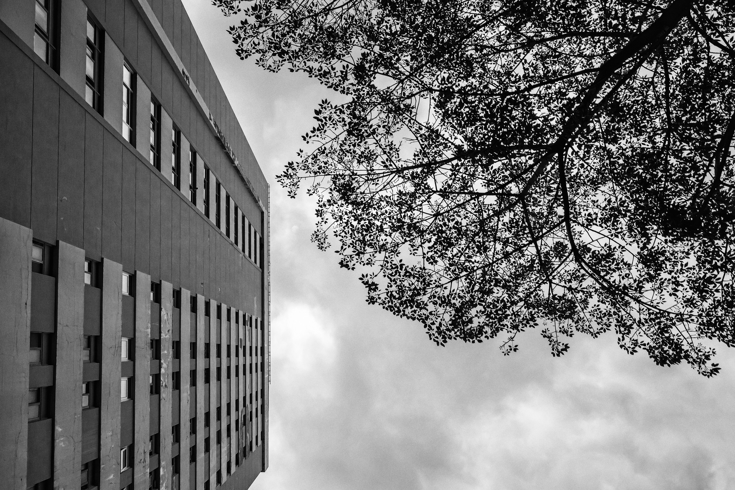 China. Three days — three cities. Beijing, Changsha, Shenzhen, 2024. Dimitri Bakhtadze photographer