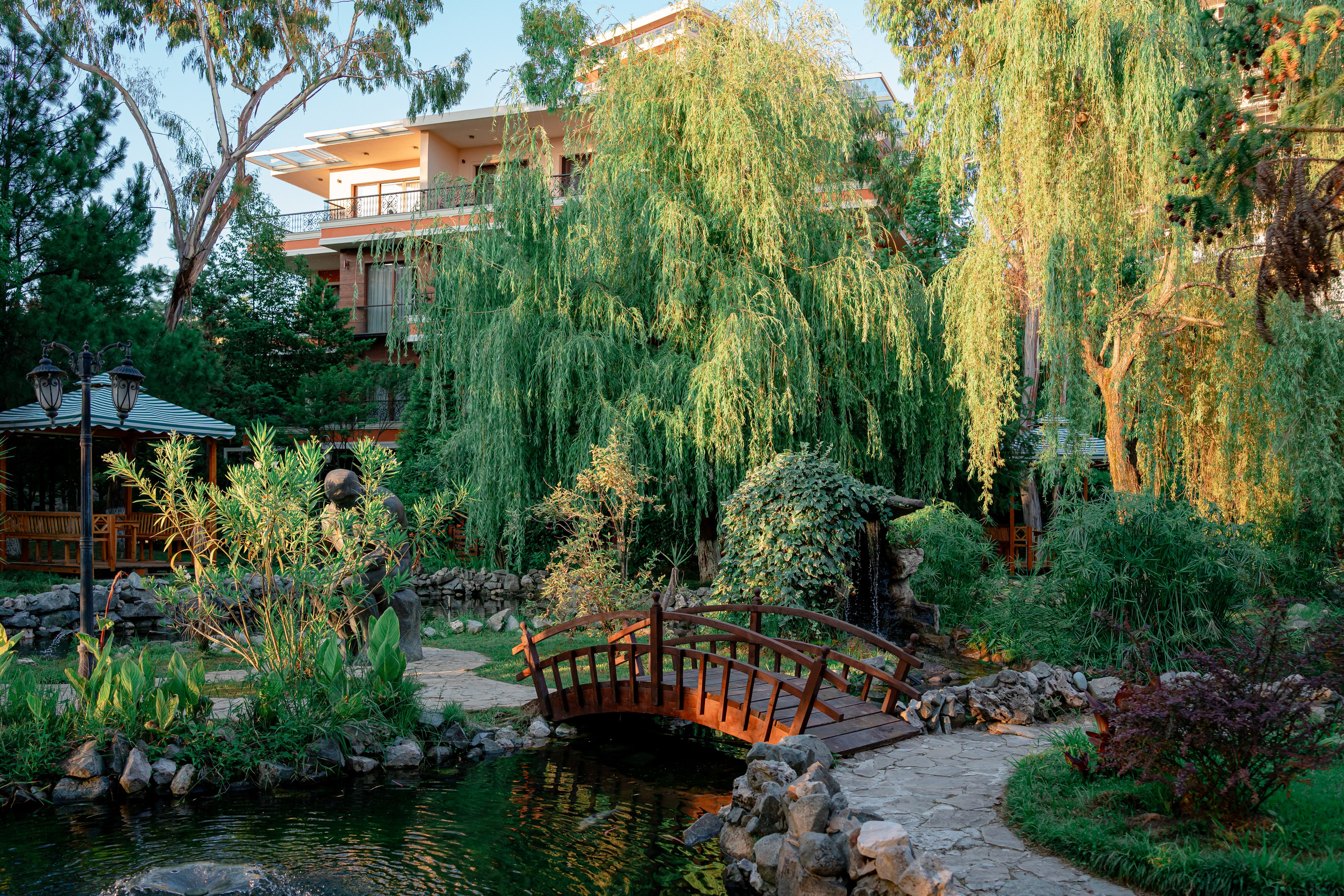 Dreamland Oasis Chakvi. Фотограф Батуми | Ксения Кинасова