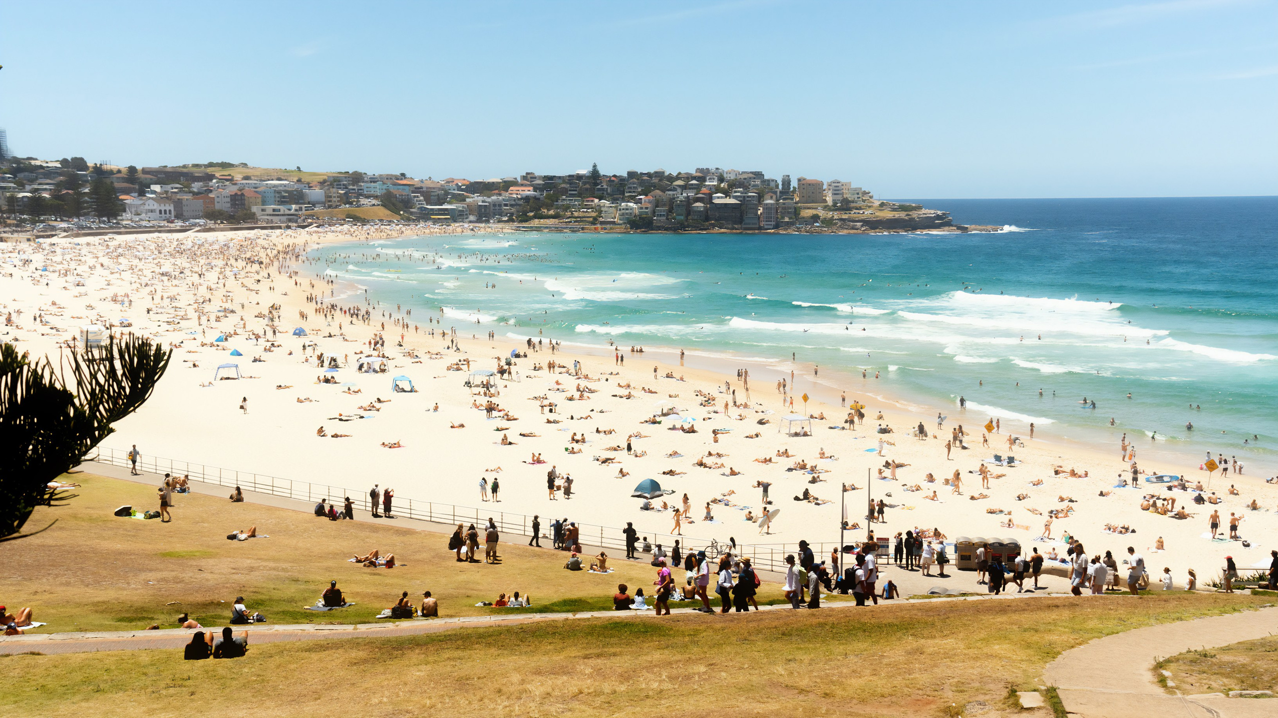 Австралия. Фотограф в Хабаровске. Фотография за 24 часа