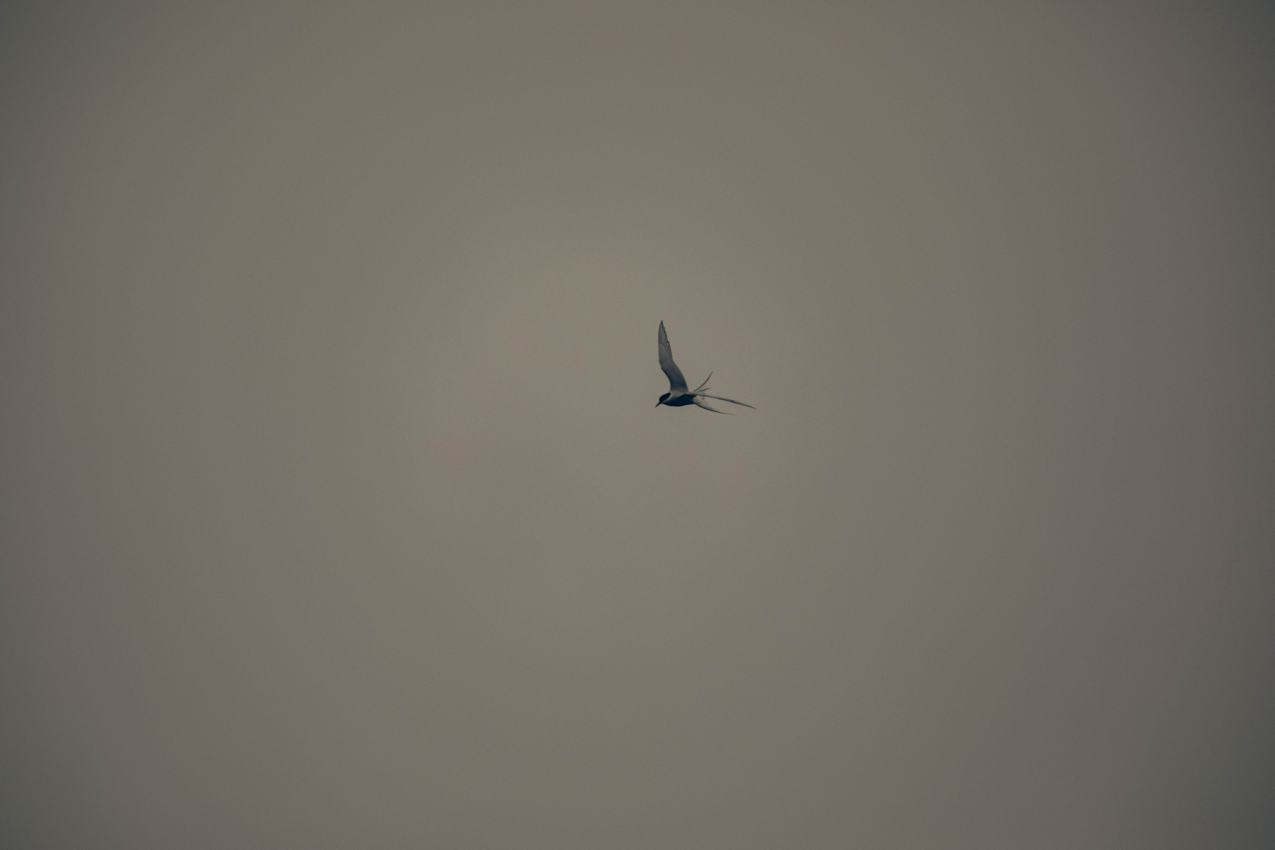 Кольский полуостров. Фотографирую для себя, своей семьи и друзей!